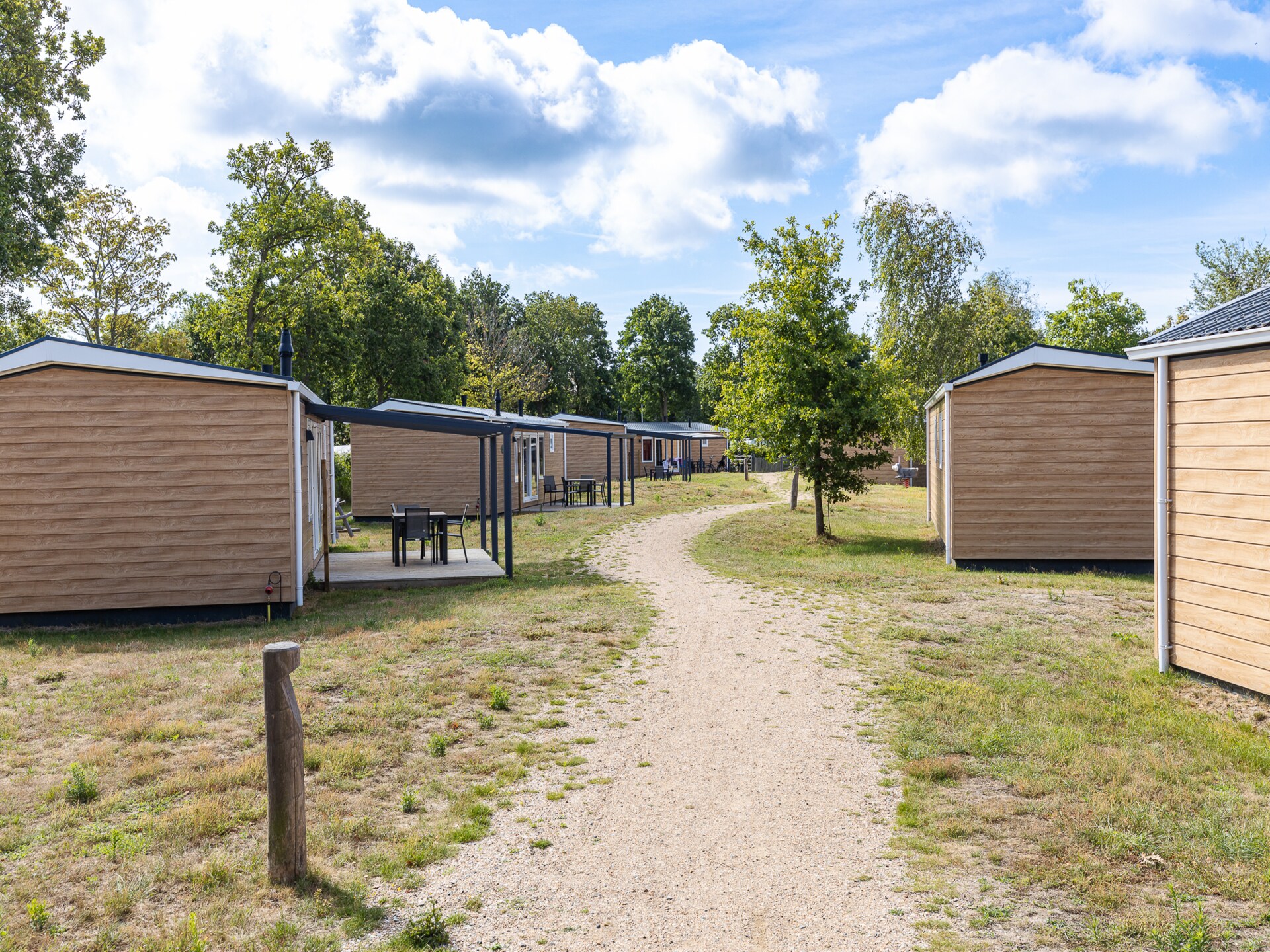 Luxe chalet Bosdier op Camping de Duinhoeve – rust, natuur en comfort - foto 44