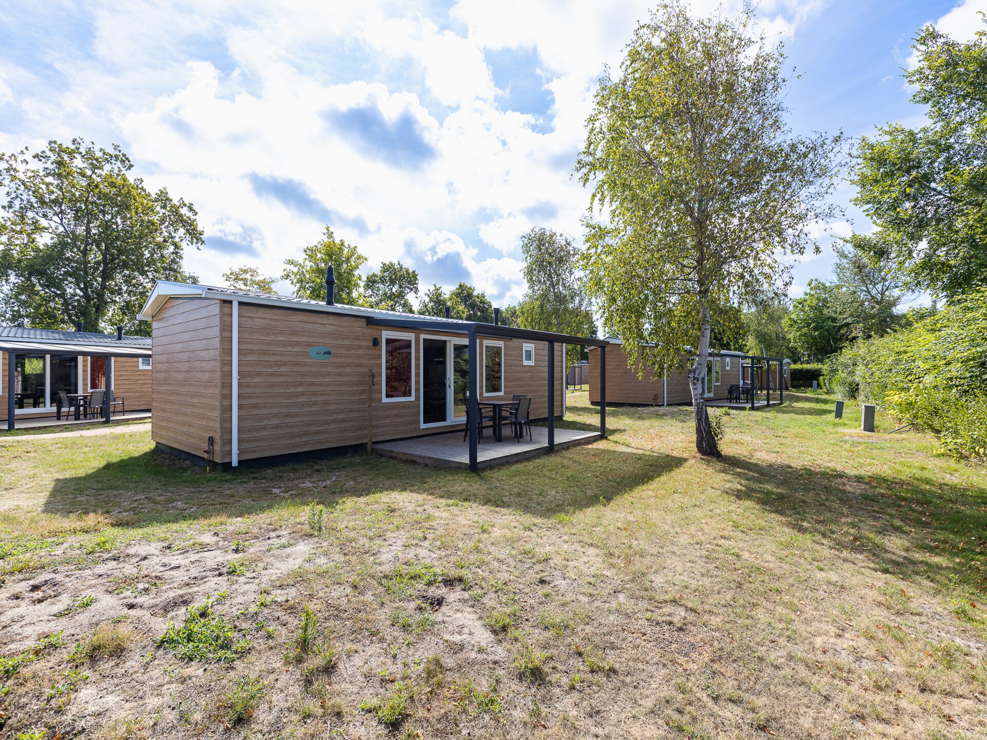 Luxe chalet Bosdier op Camping de Duinhoeve – rust, natuur en comfort - foto 45