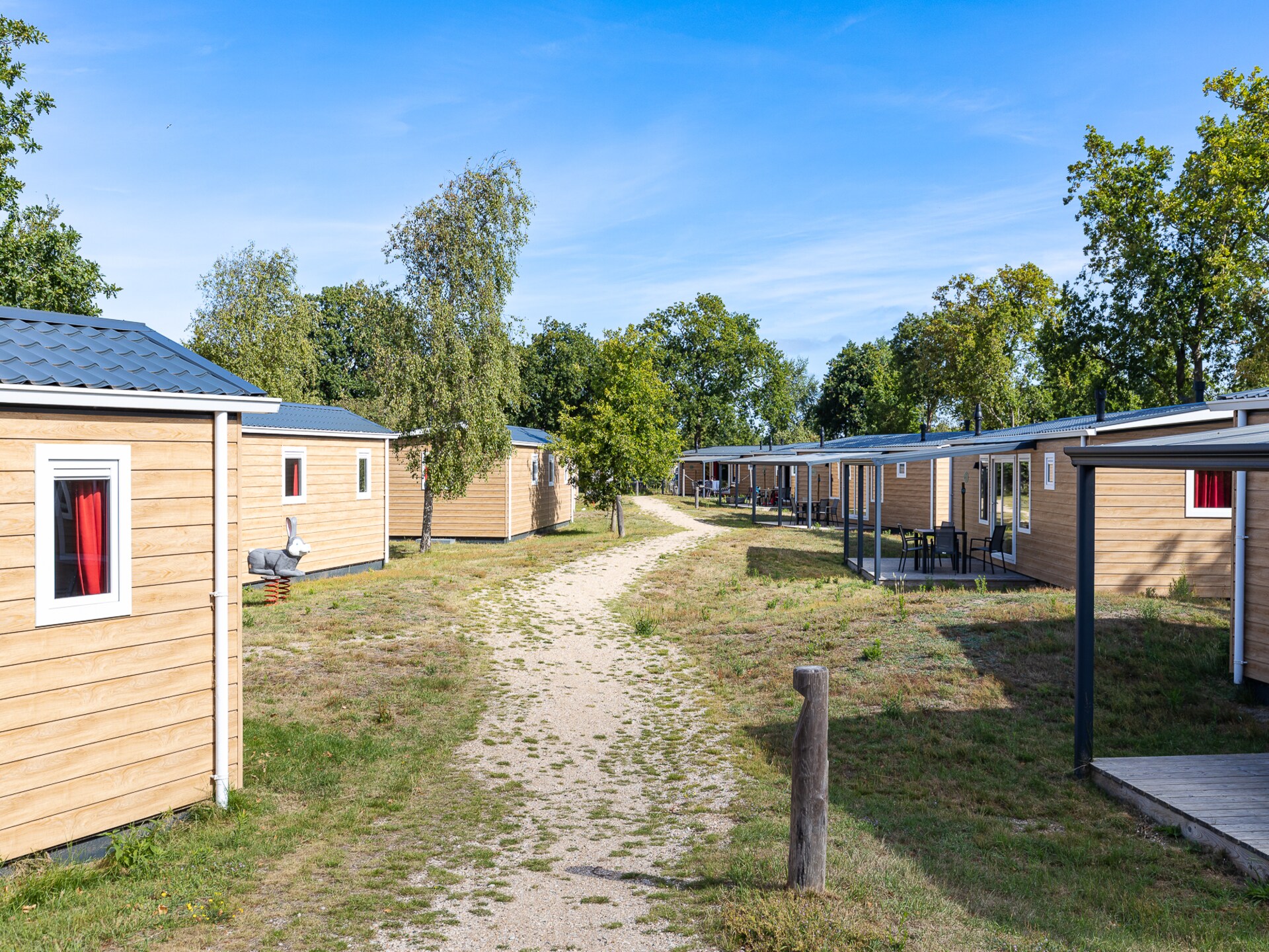 Luxe chalet Bosdier op Camping de Duinhoeve – rust, natuur en comfort - foto 42