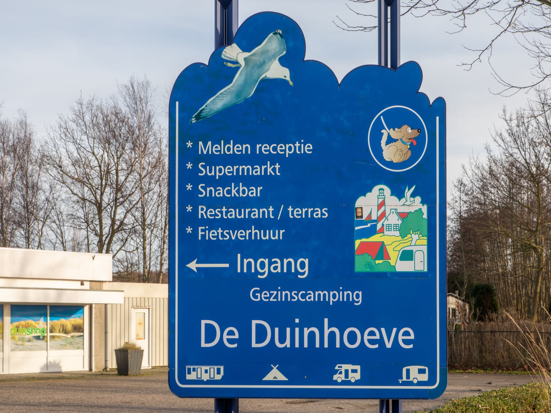 Luxe chalet Bosdier op Camping de Duinhoeve – rust, natuur en comfort - foto 52