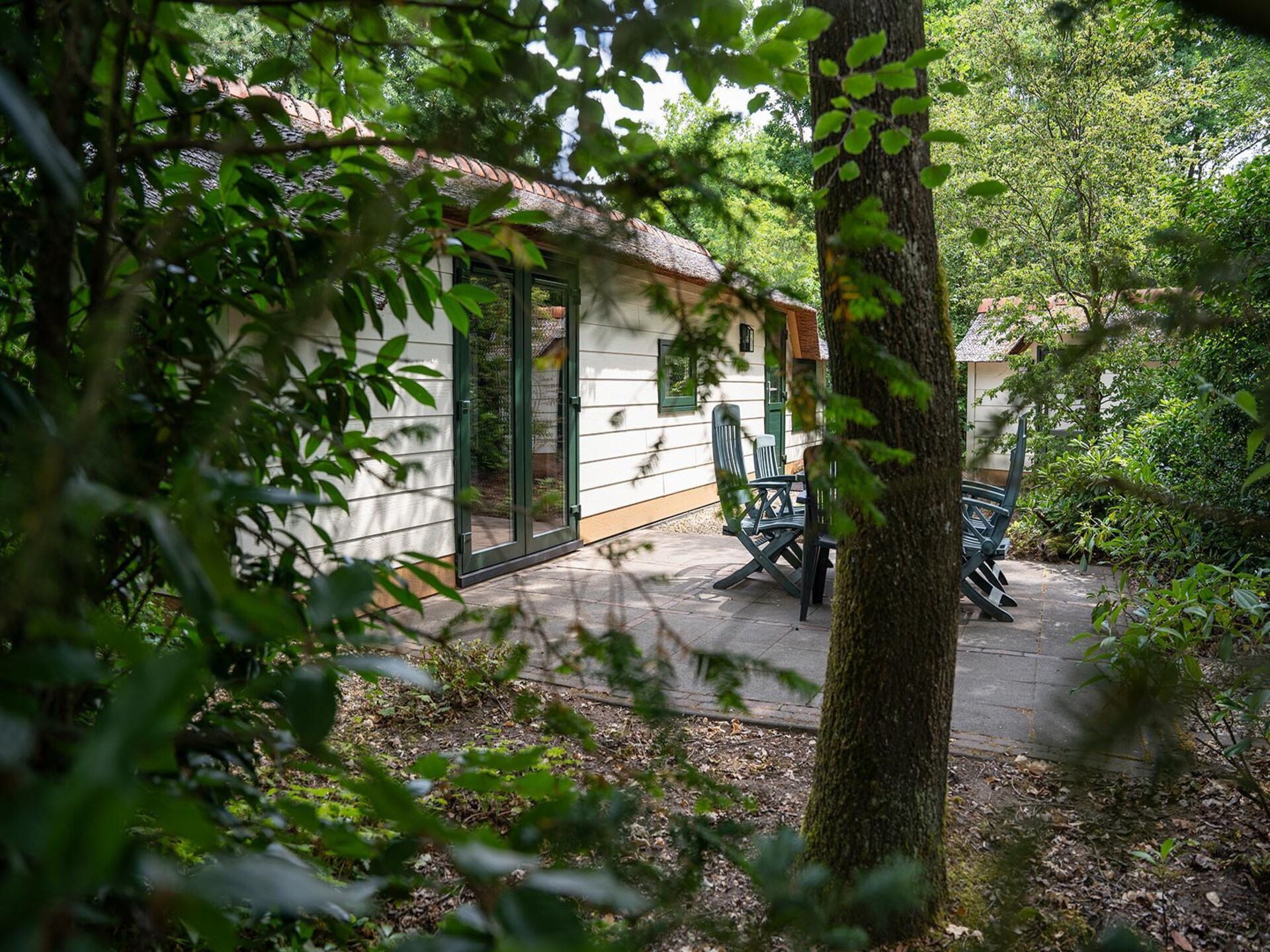 Gezellig boerderijhuisje bij Speulderbos en Ermelosche Heide - foto 8