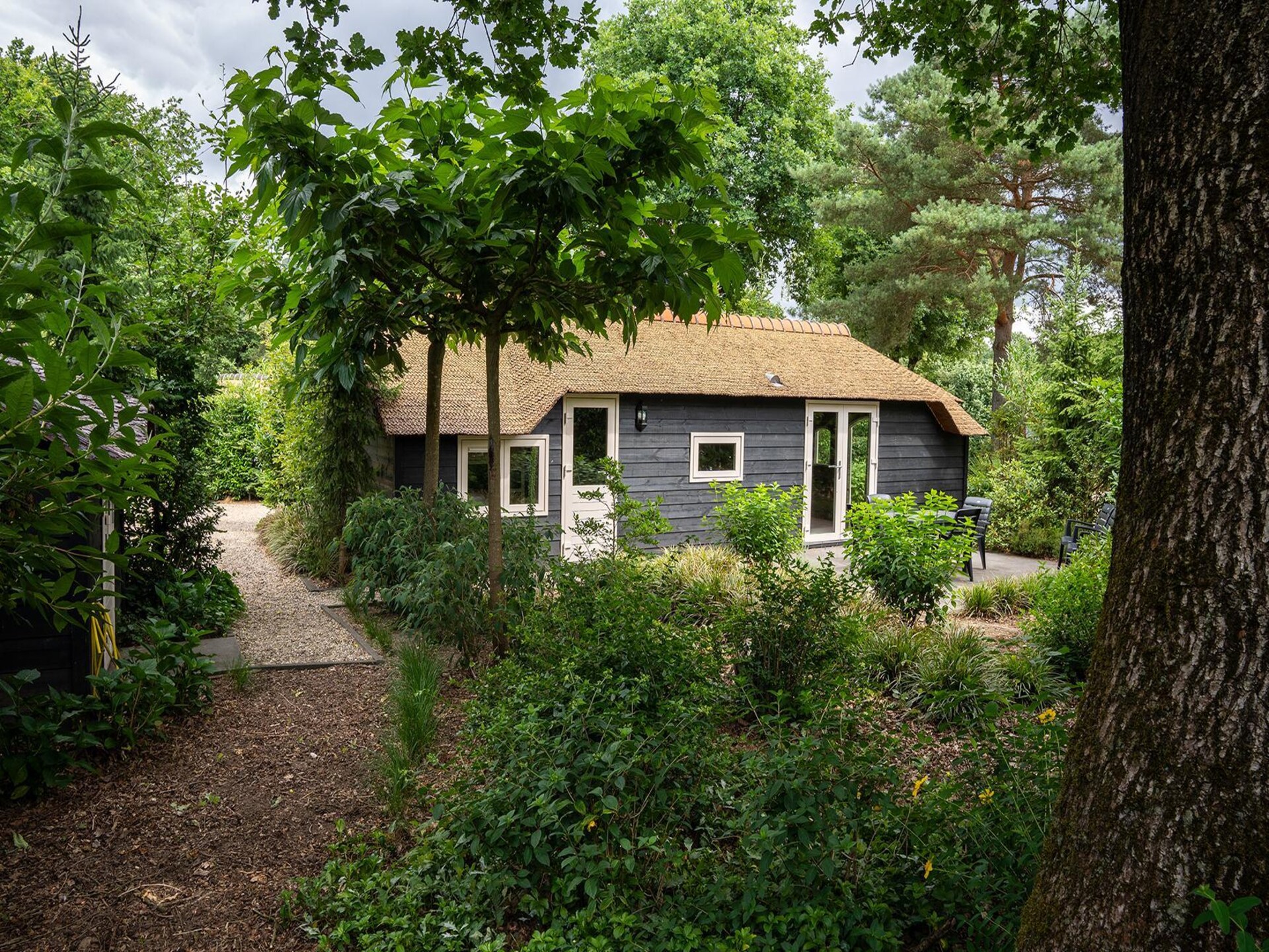 Gezellig boerderijhuisje bij Speulderbos en Ermelosche Heide - foto 7