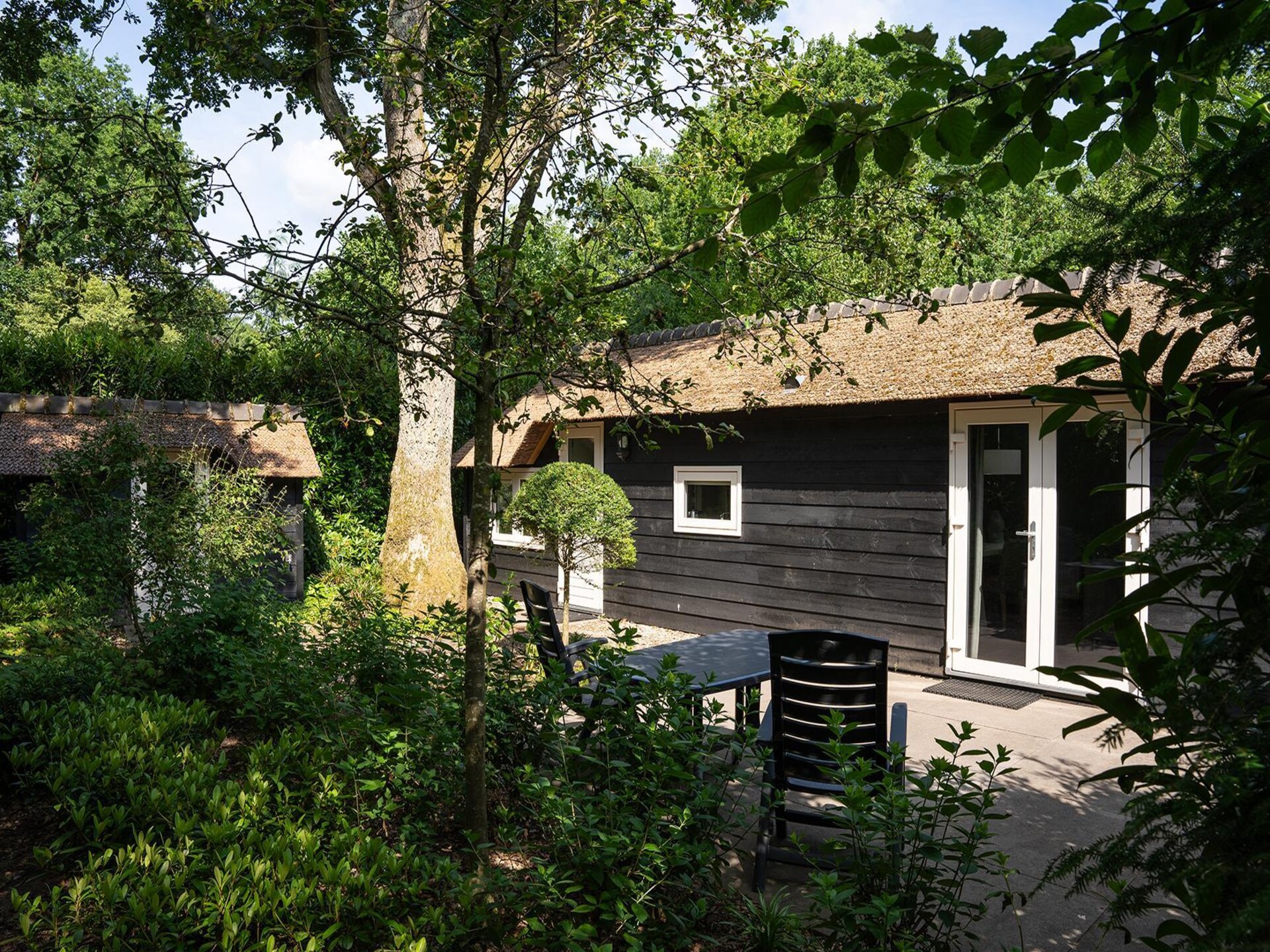 Gezellig boerderijhuisje bij Speulderbos en Ermelosche Heide - foto 9