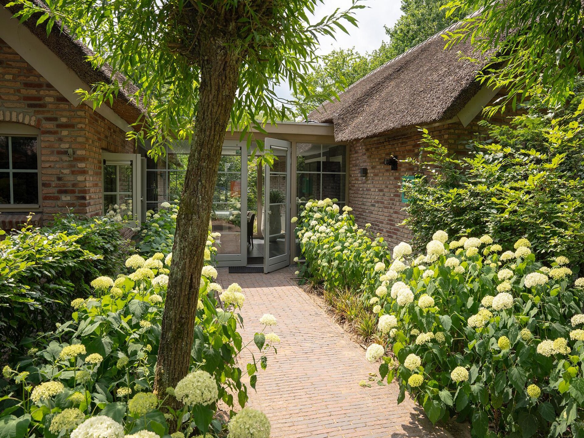 Luxe studio in Vlindervallei voor 2 personen op de Veluwe - foto 12