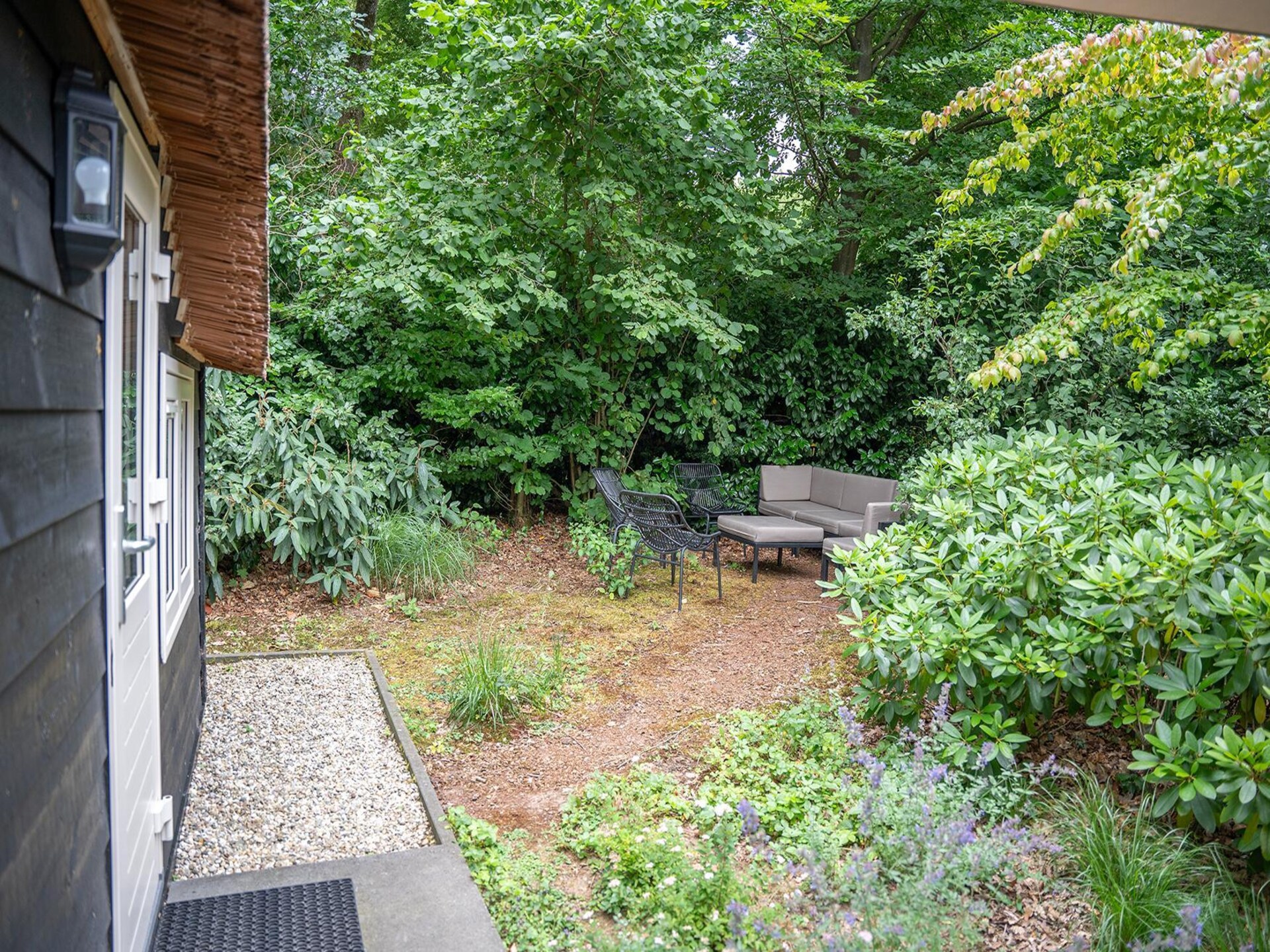 Heivlinder Comfort: sfeervol vakantiehuis op de Veluwe voor 6 personen - foto 14