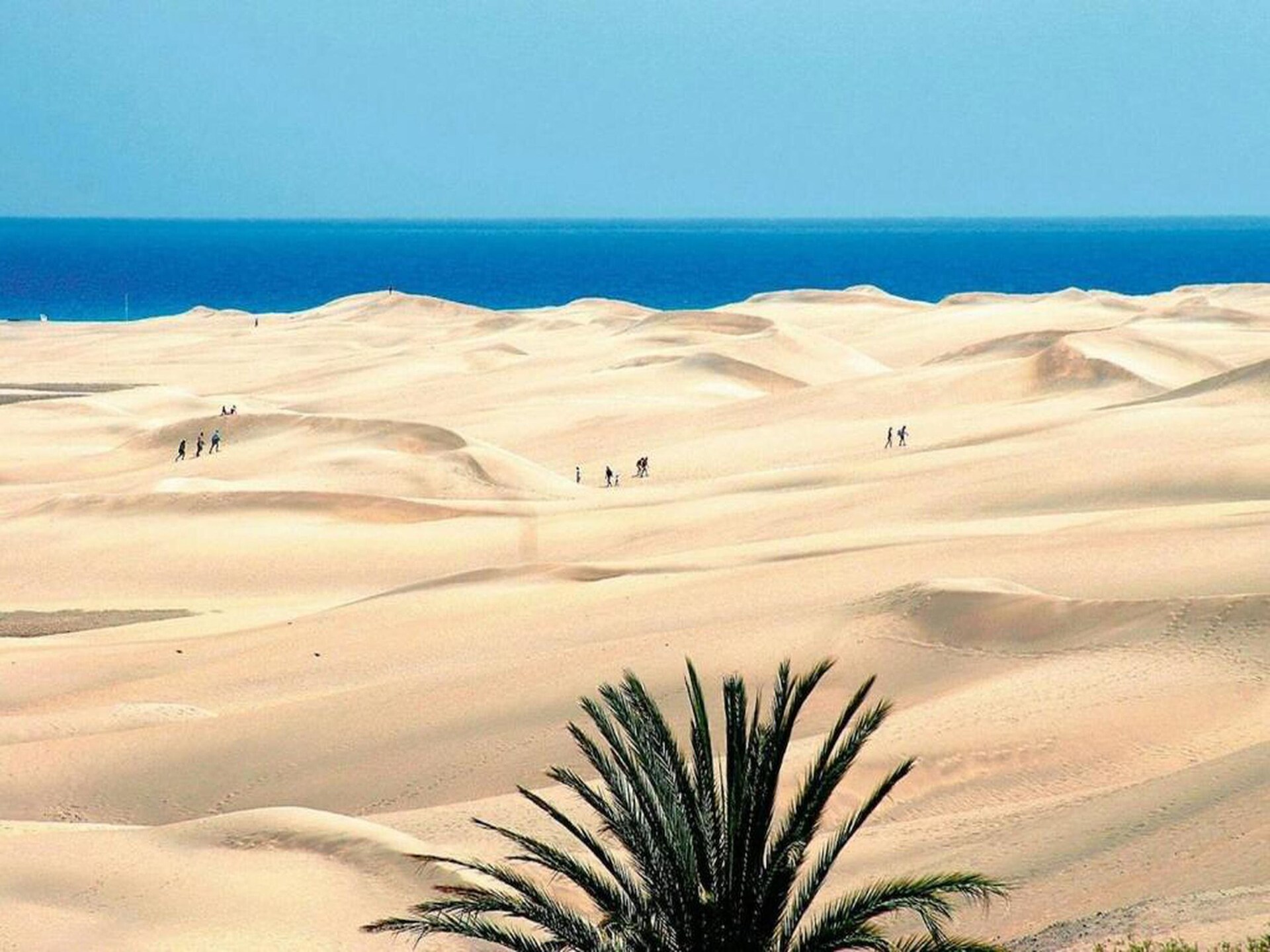 Gelijkvloers chalet met privézwembad aan golfbaan in Gran Canaria - foto 30