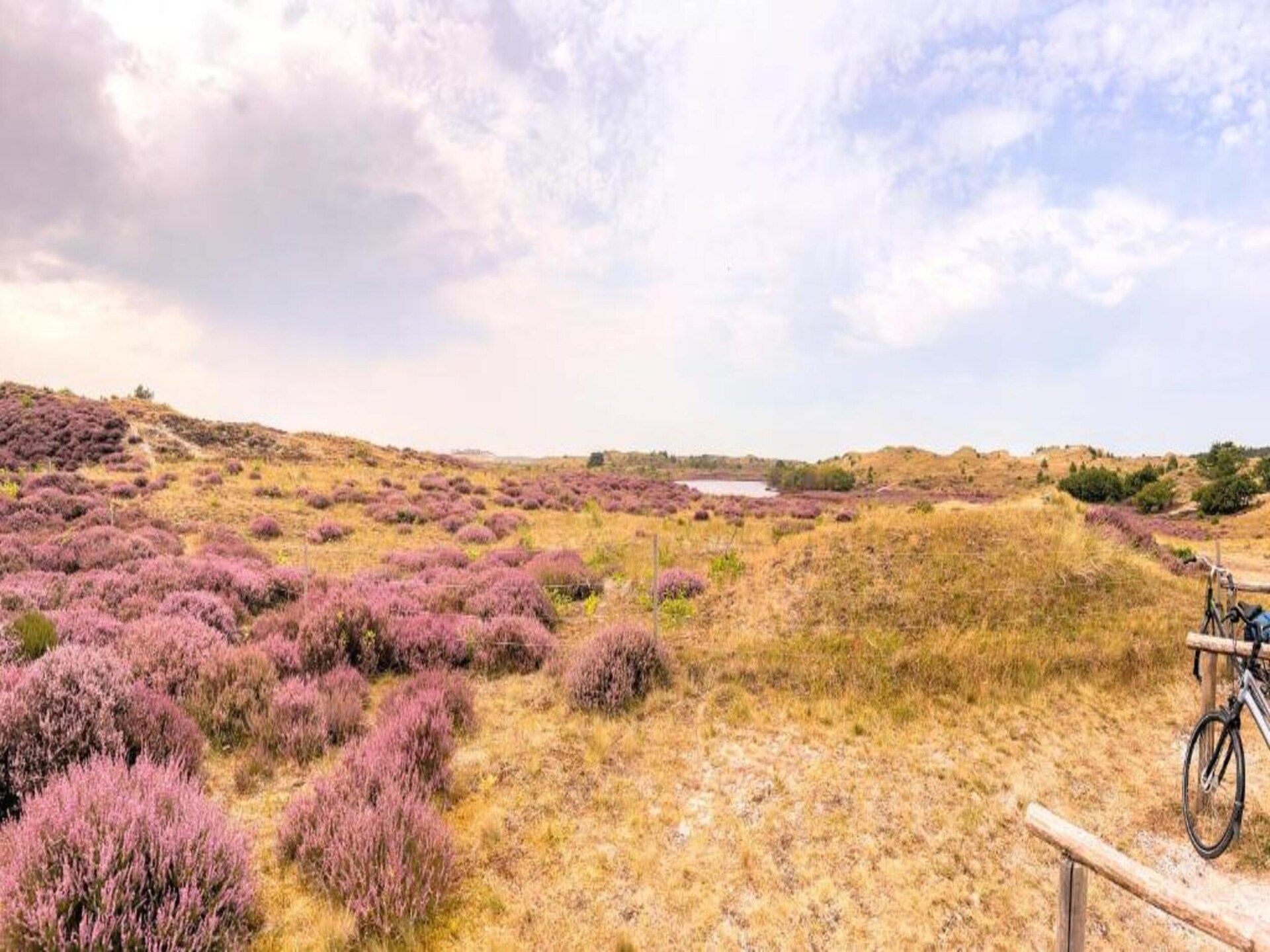 Era Nova: Romantisch tiny house op 400 jaar oud molenerf bij 't Zand - foto 20