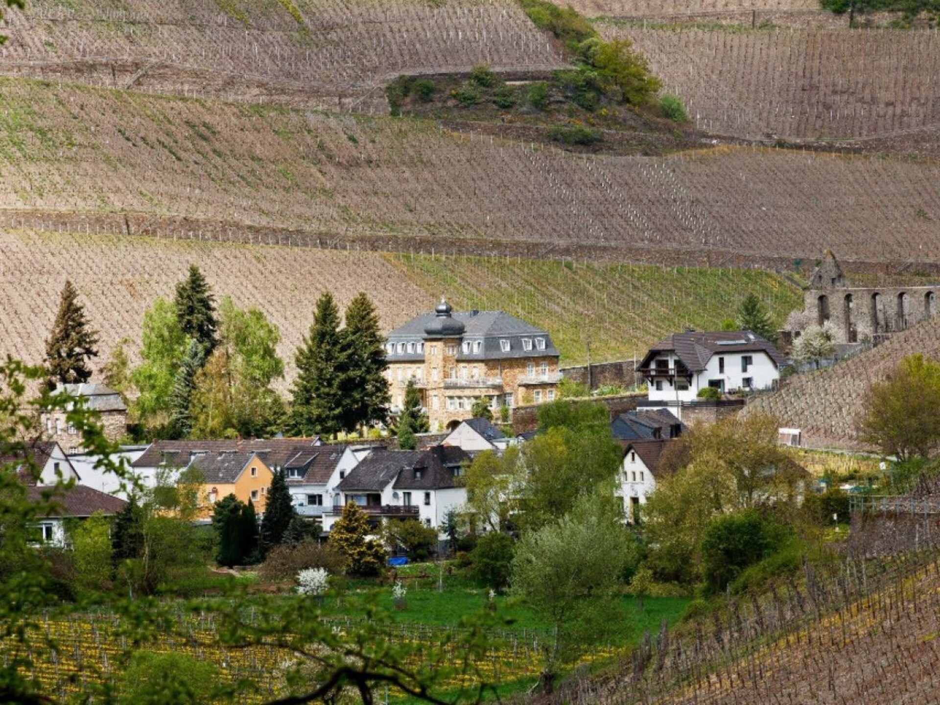 Modern vakantiehuis met panoramisch wijngaardzicht in Dernau - foto 24
