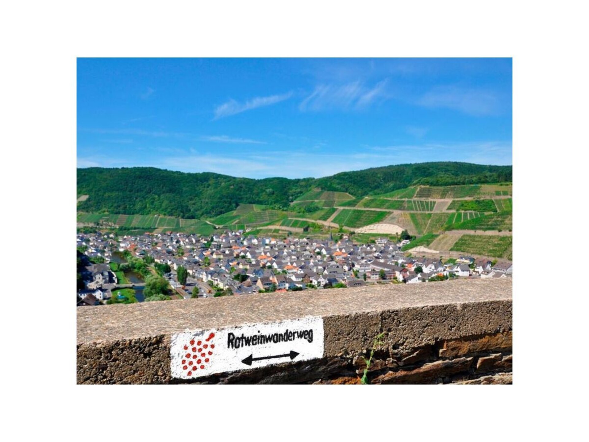 Romantisch wellness-appartement met bubbelbad en wijngaardzicht - foto 2