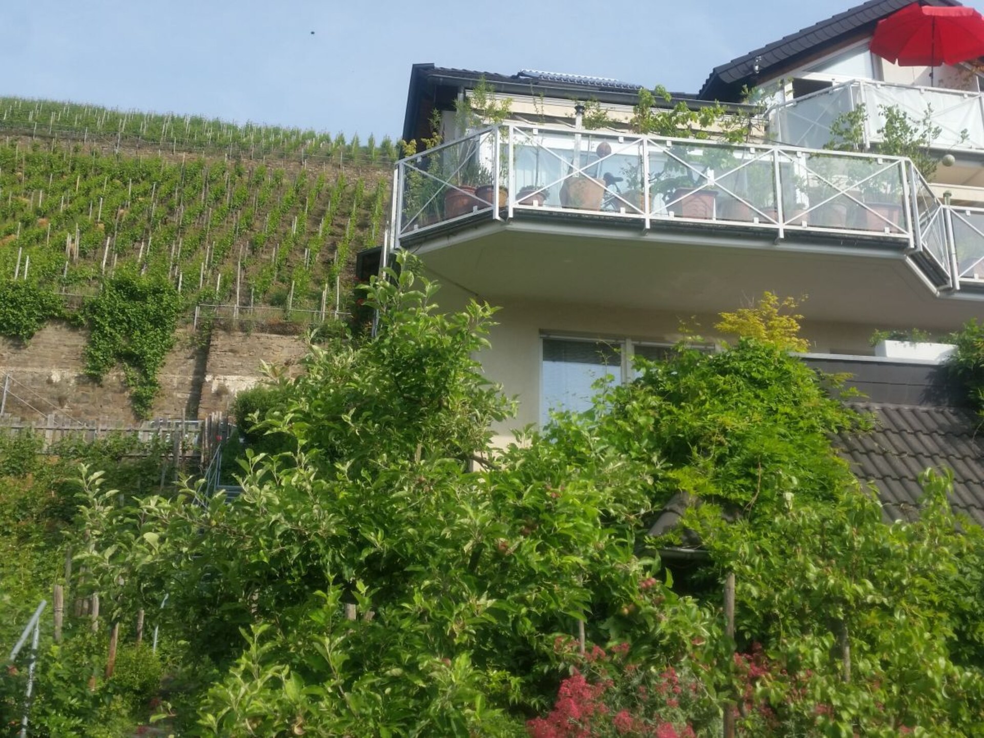 Appartement Hardtberg in wijngaard Pfarrwingert, Dernau - foto 1
