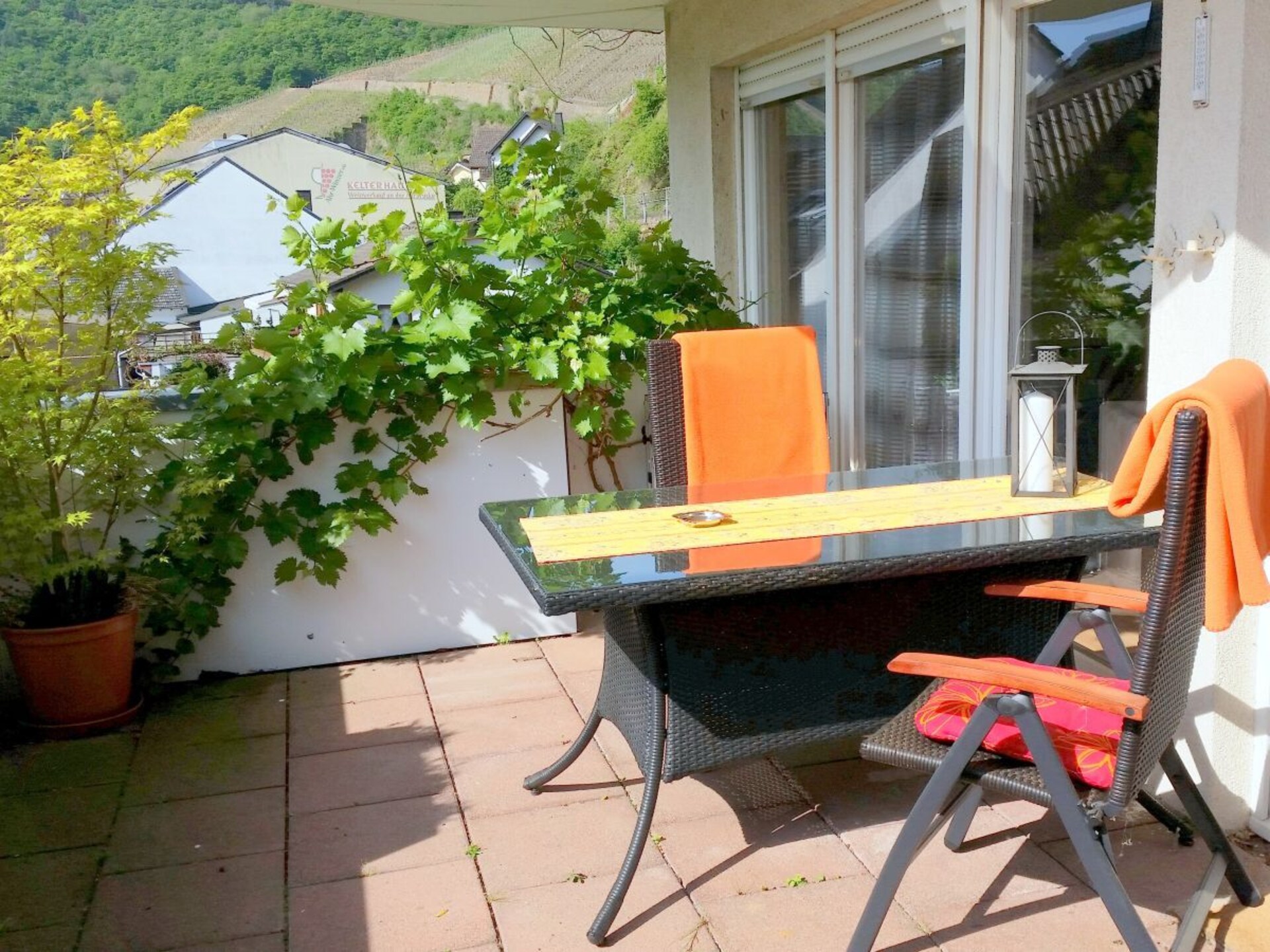 Appartement Hardtberg in wijngaard Pfarrwingert, Dernau - foto 16