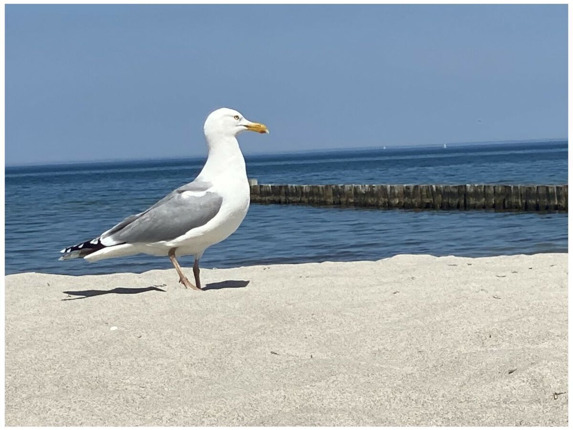 Licht appartement met 2 slaapkamers, WiFi & terras nabij de Oostzee in Zingst - foto 23