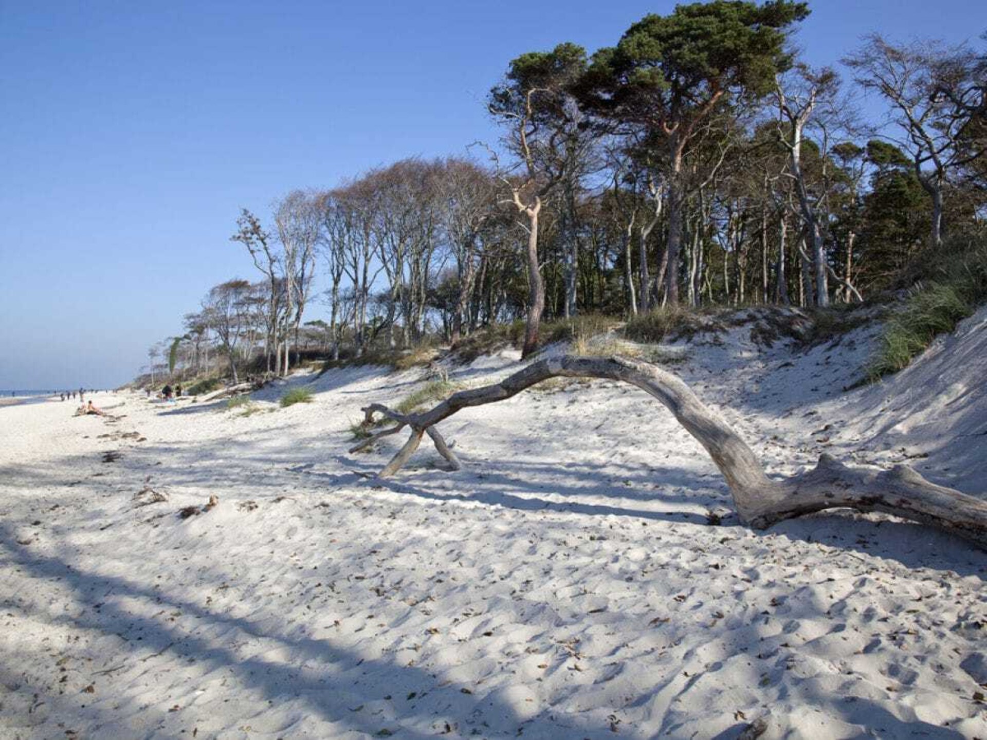 Licht appartement met 2 slaapkamers, WiFi & terras nabij de Oostzee in Zingst - foto 26