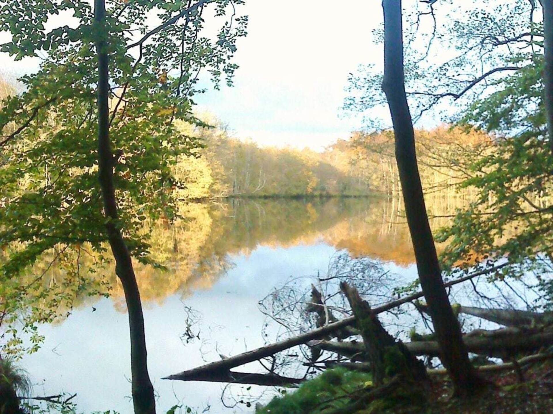 Knus appartement voor 3 aan de Präßnicksee in Parlow - foto 8