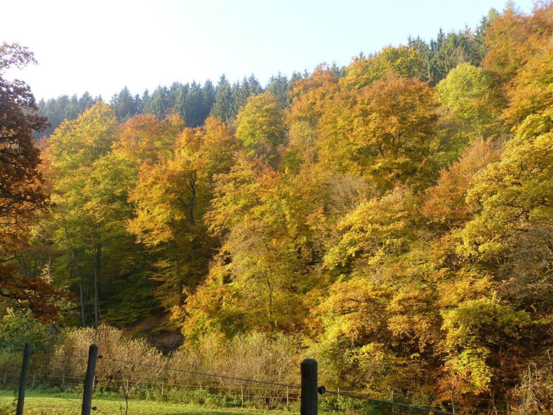 Knus vakantiehuis voor 4 in de Eifel bij Lutzerath - foto 2