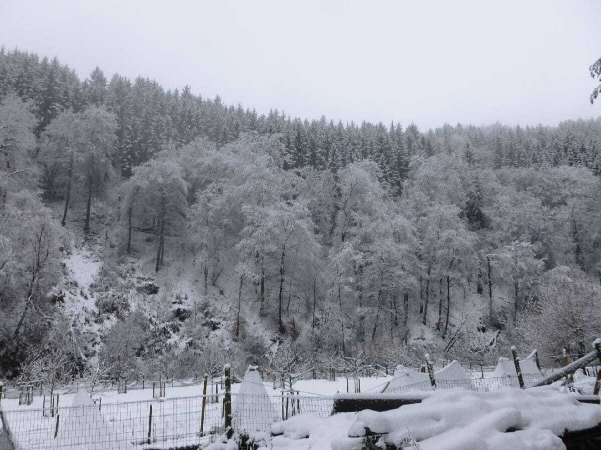 Knus vakantiehuis voor 4 in de Eifel bij Lutzerath - foto 5