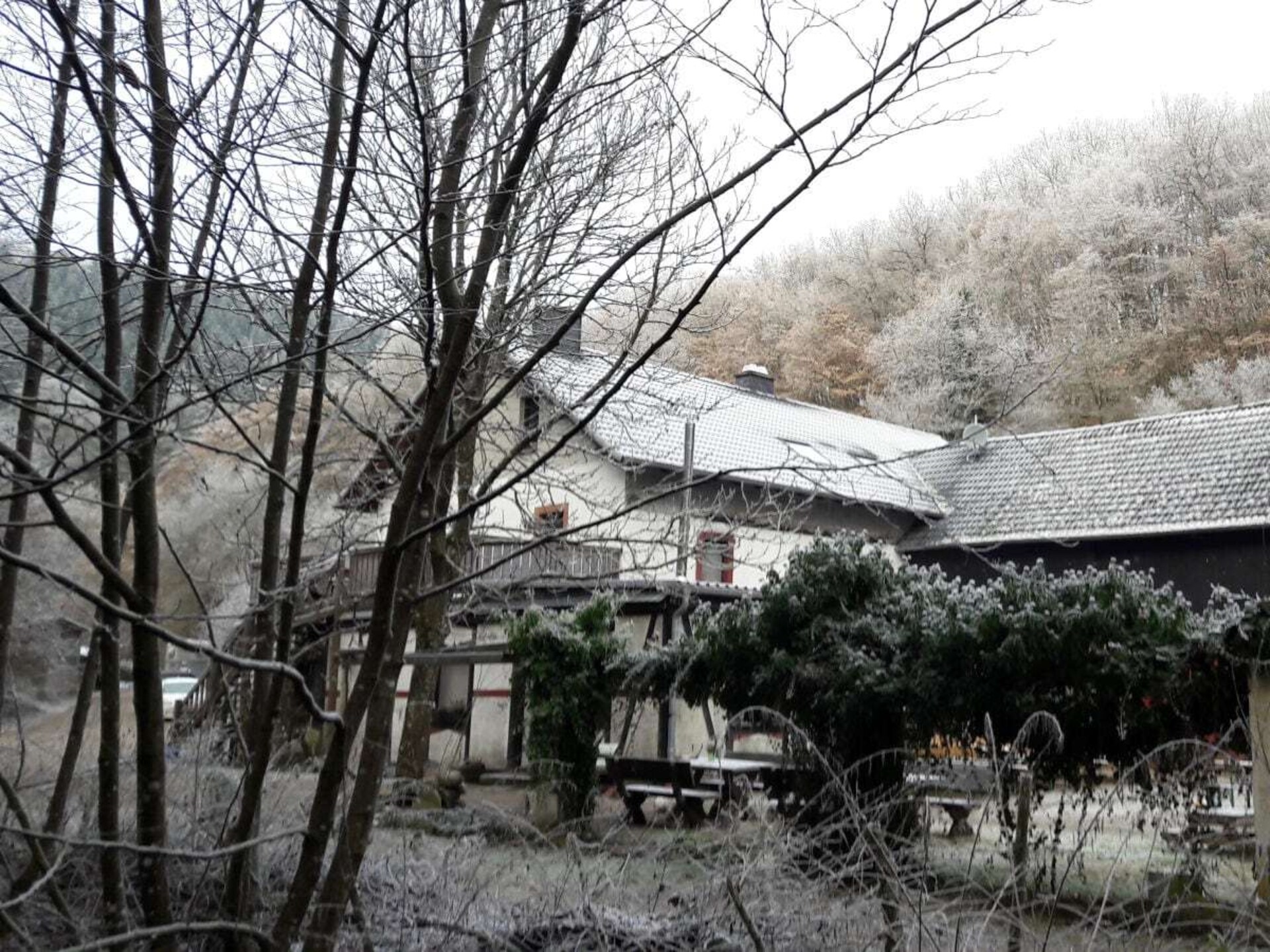 Knus vakantiehuis voor 4 in de Eifel bij Lutzerath - foto 6