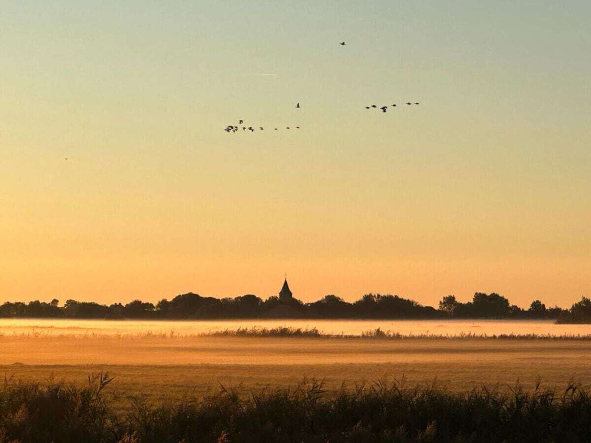 Stijlvol appartement met rieten dak aan de Noordzeekust bij Westerhever - foto 25