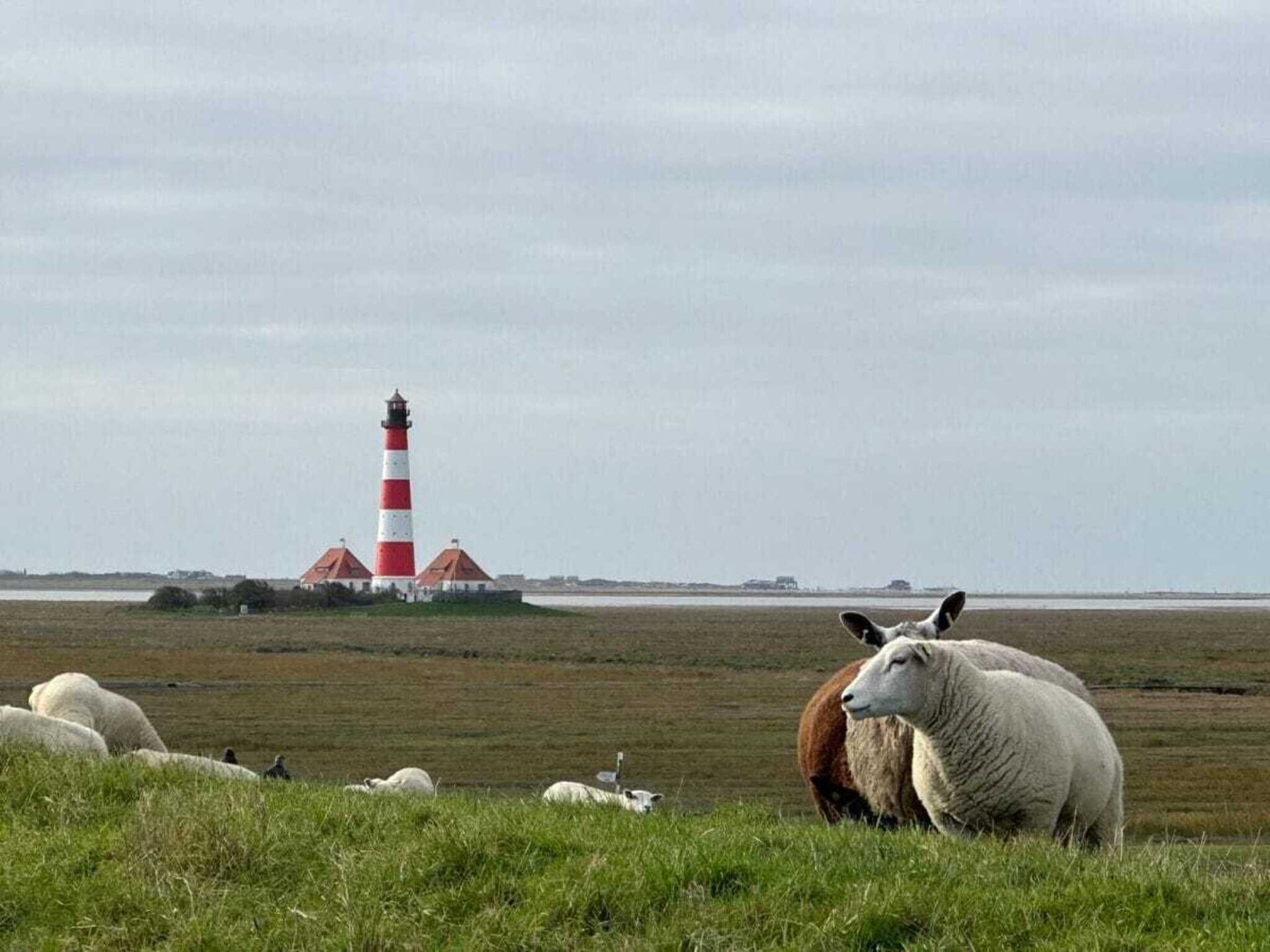 Stijlvol appartement met rieten dak aan de Noordzeekust bij Westerhever - foto 17