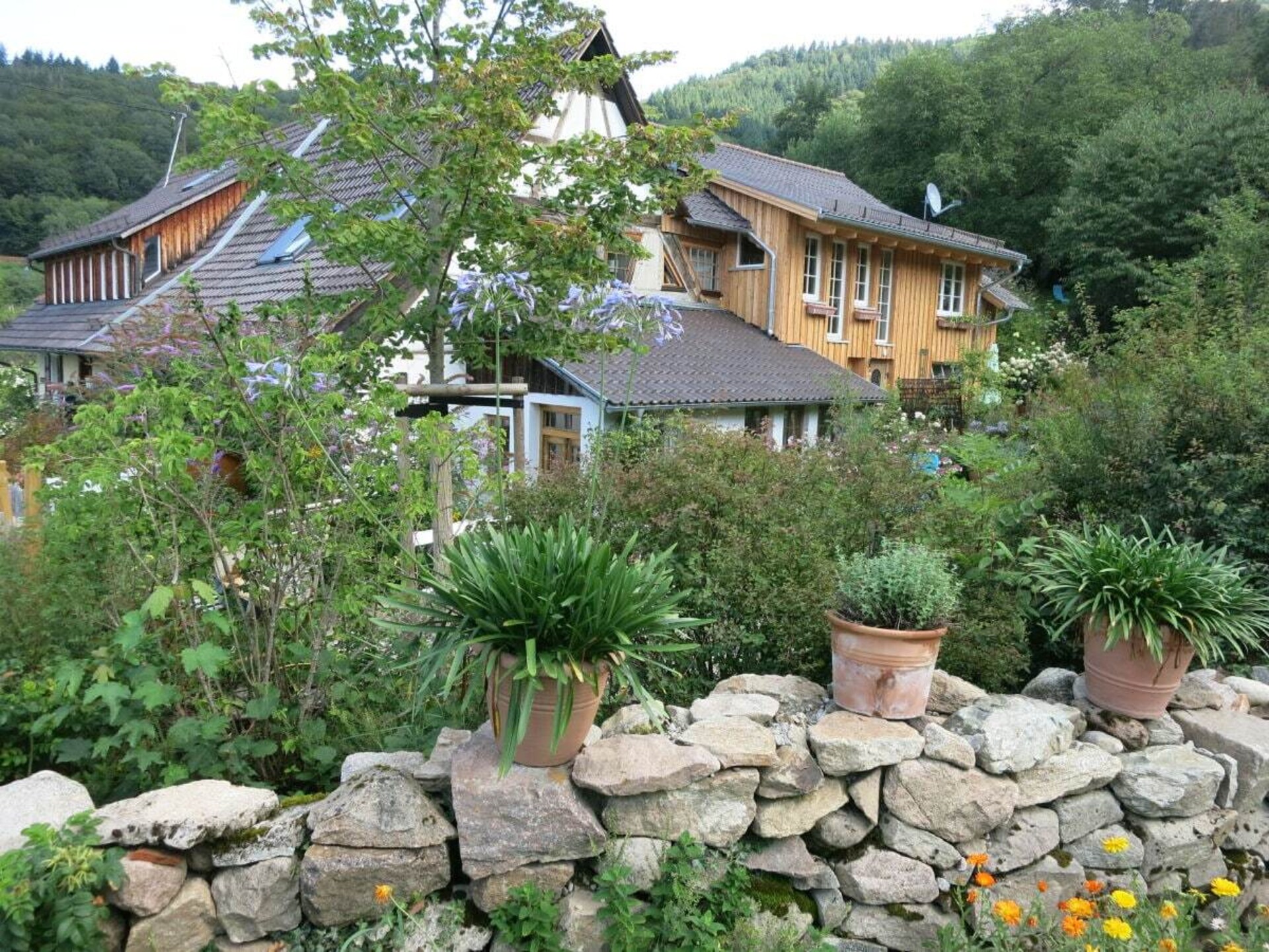 Sfeervol vakantiehuis met open haard en uitzicht op de Vogezen bij Badenweiler - foto 1