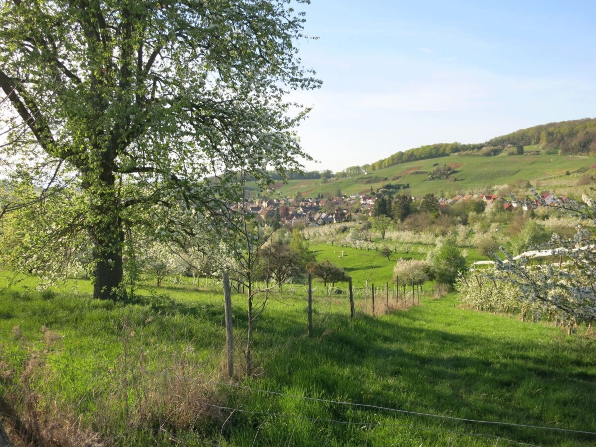 Sfeervol vakantiehuis met open haard en uitzicht op de Vogezen bij Badenweiler - foto 31