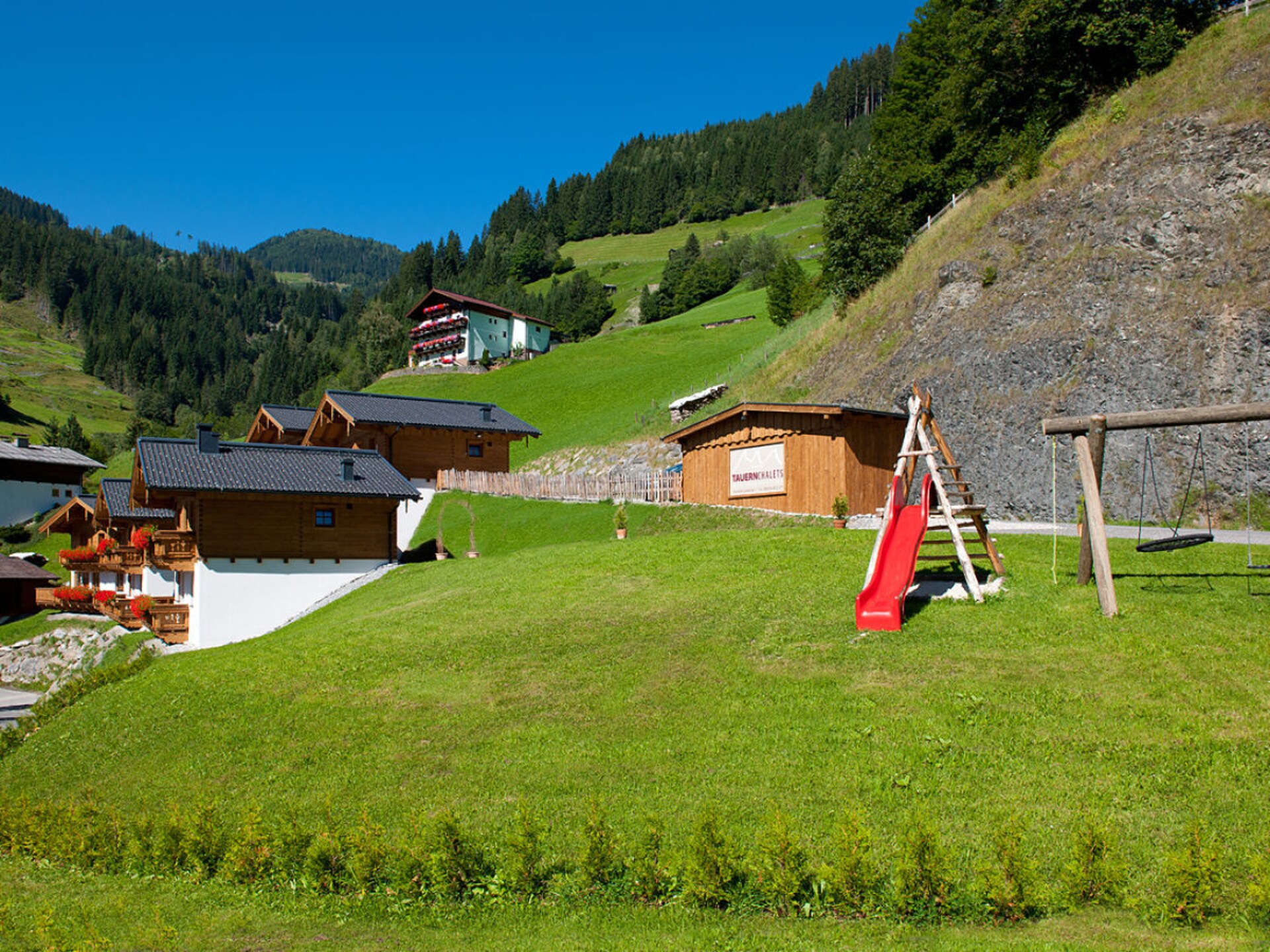 219312 - foto 6