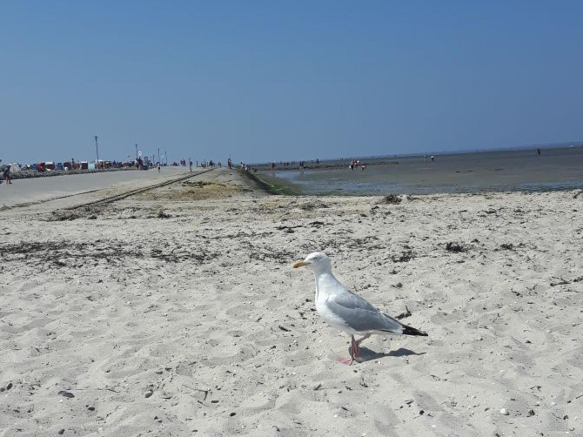 Modern vakantiehuis aan de weilandrand in Altfunnixsiel, vlakbij de Noordzee - foto 33