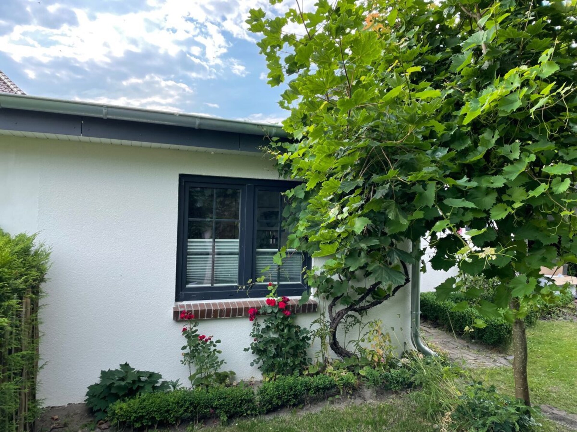 Gerenoveerd vakantiehuis met overdekt terras, 300m van centrum Büsum - foto 9