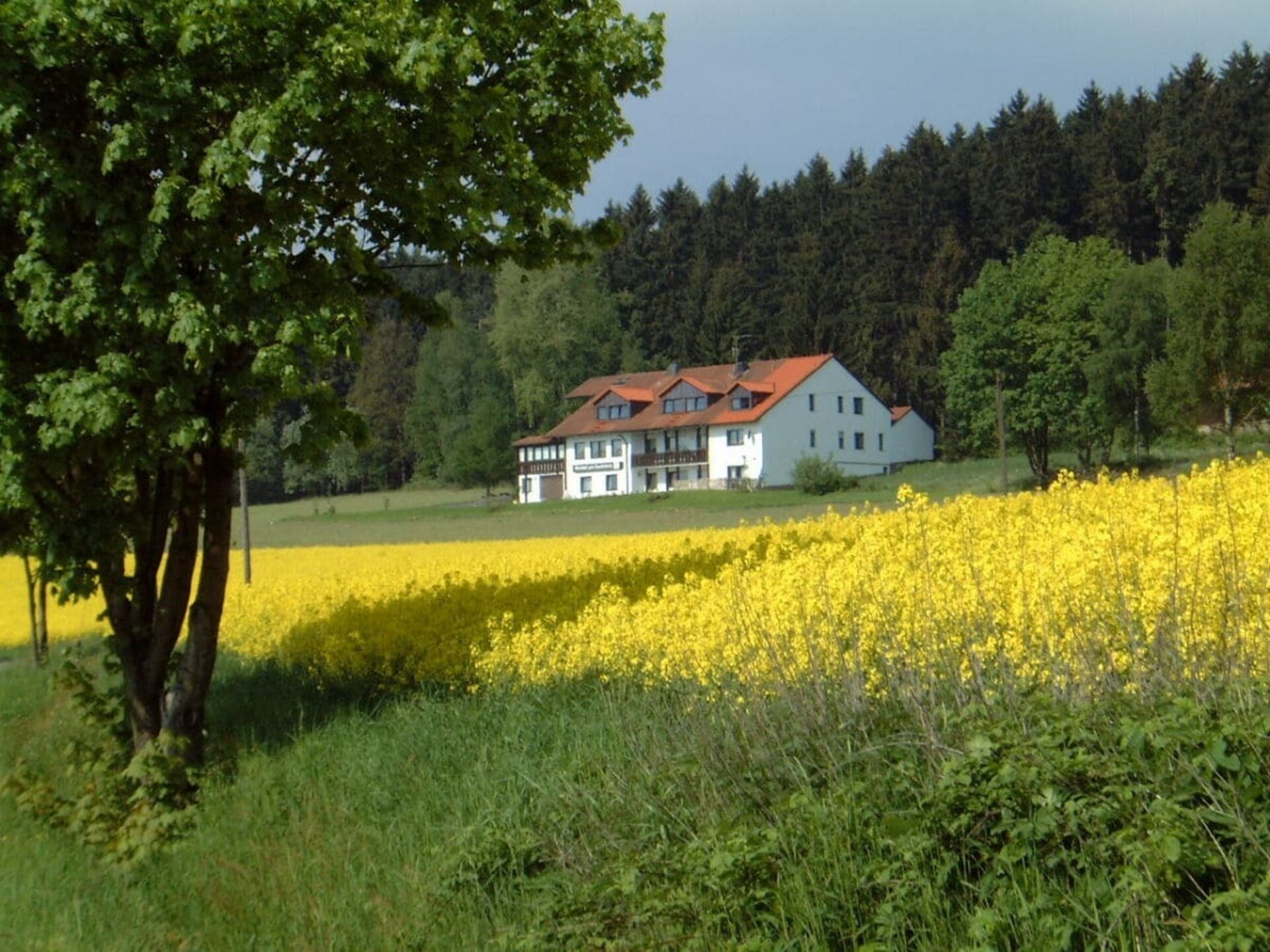 Panorama-appartement Tillenblick aan de bosrand in Fuchsmühl - foto 7
