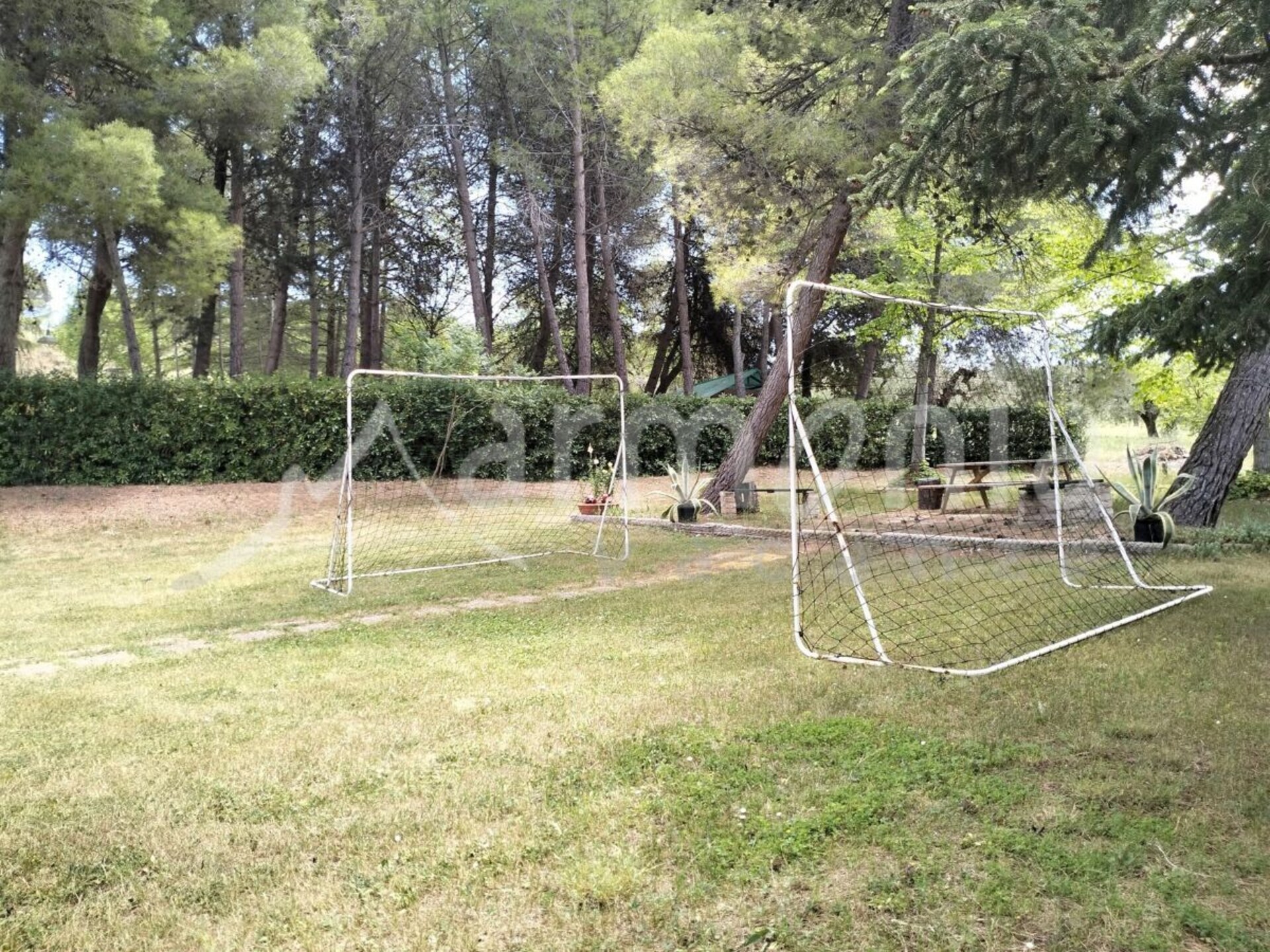 Landhuis bij Alba Adriatica met 10 slaapkamers en grote tuin - foto 34