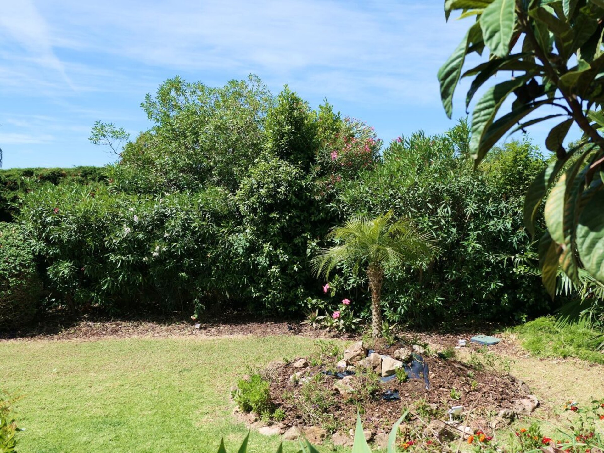 Moorse villa met privézwembad en tropische tuin nabij Carvoeiro - foto 9