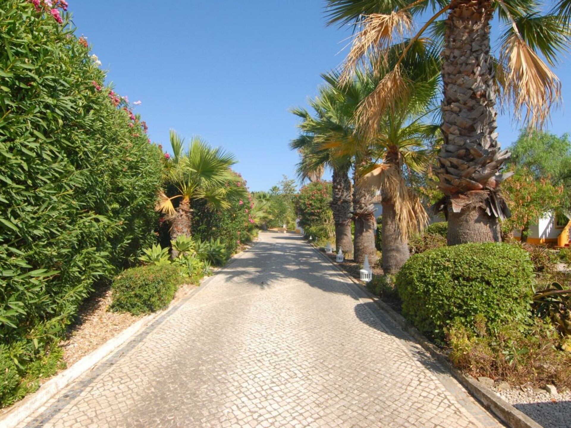 Moorse villa met privézwembad en tropische tuin nabij Carvoeiro - foto 15