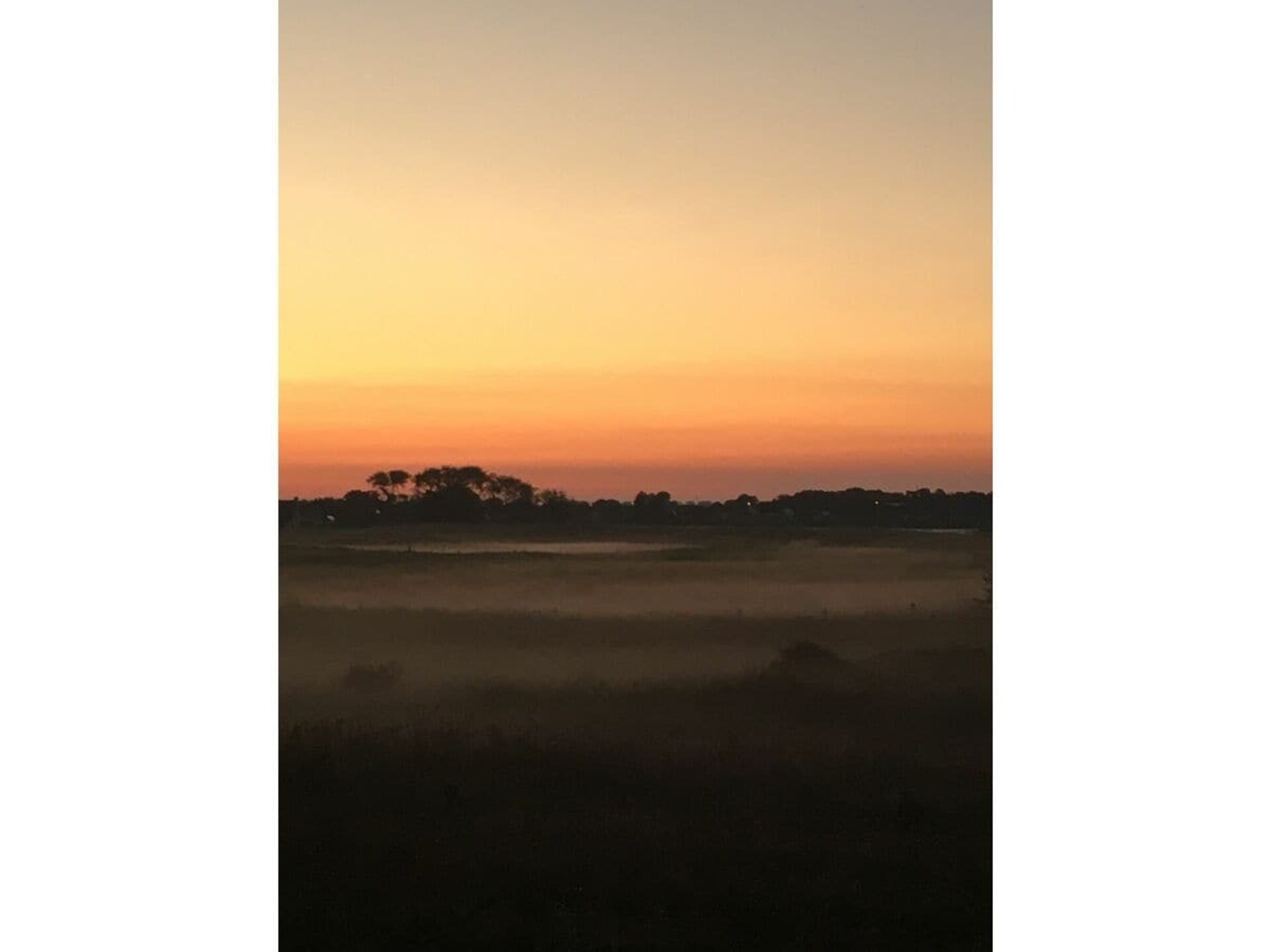 Toegankelijk vakantiehuis in Egmond-Binnen, dichtbij strand en duinen - foto 13