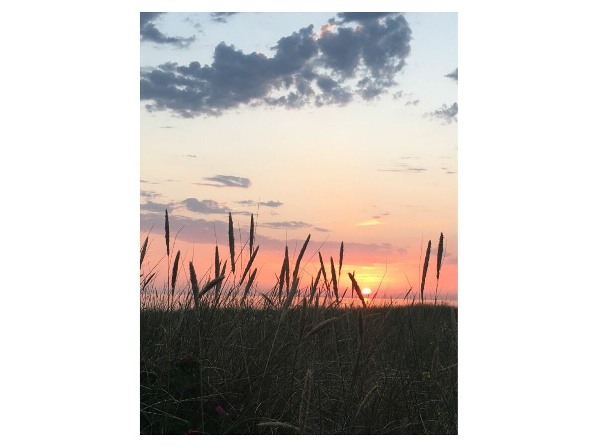 Toegankelijk vakantiehuis in Egmond-Binnen, dichtbij strand en duinen - foto 16