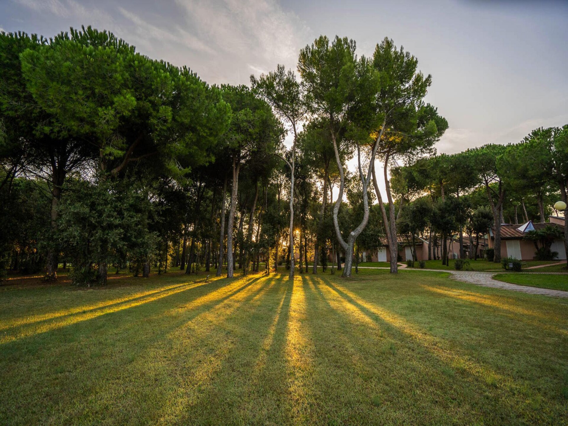 Sangioveto Comfort Trilo: Vrijstaande bungalow op 250m van zee in San Vincenzo - foto 7