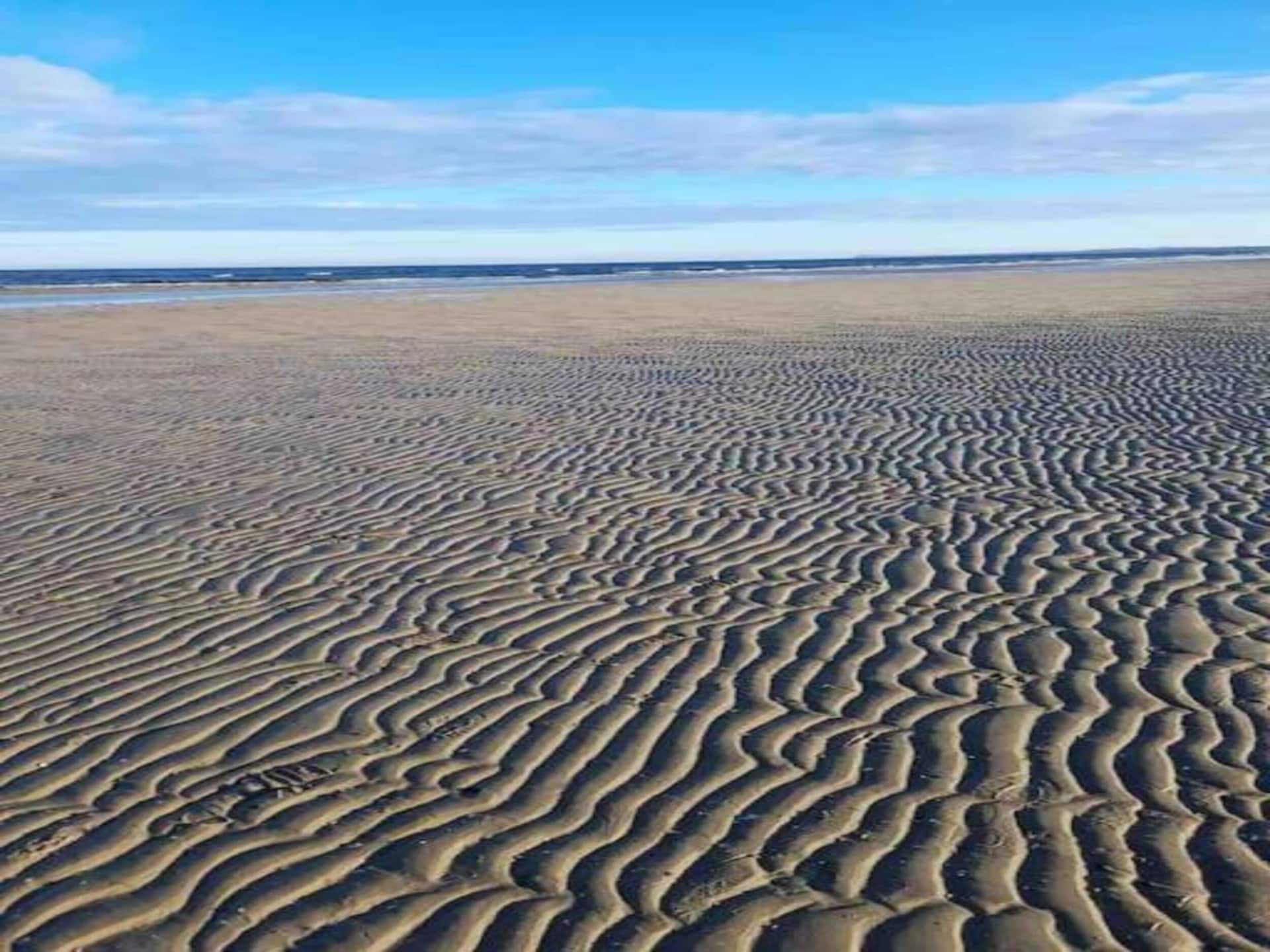 4-persoons woonboot aan zee in Peenemünde - foto 30