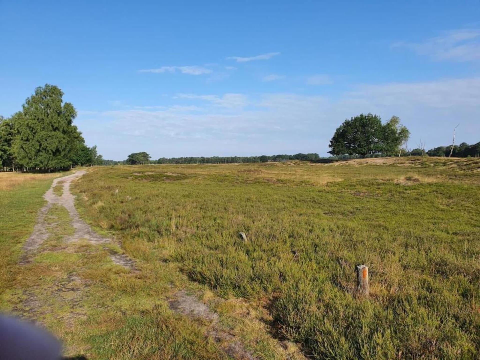Ruim appartement in Schneverdingen nabij Lüneburger Heide - foto 29