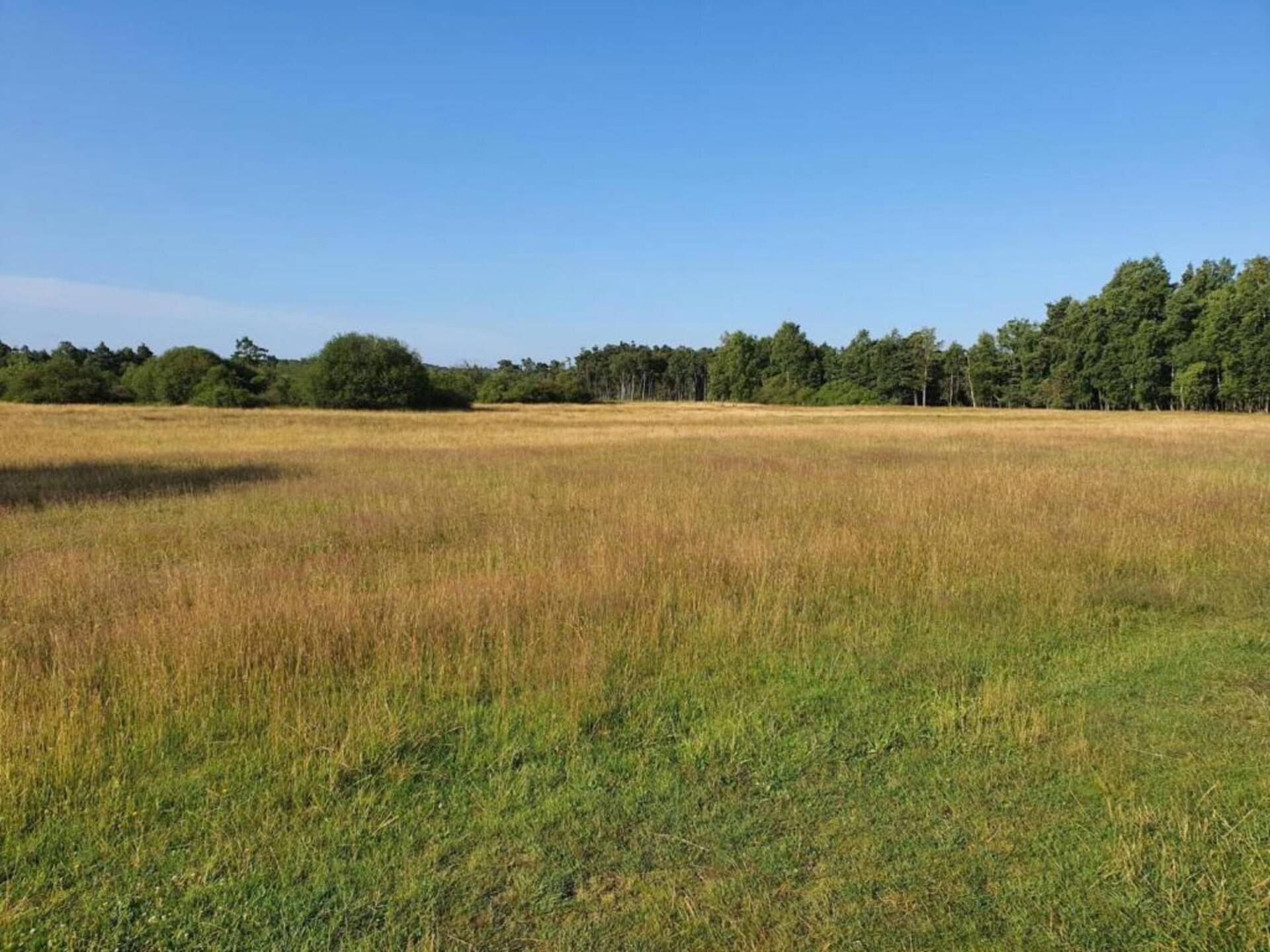 Ruim appartement in Schneverdingen nabij Lüneburger Heide - foto 28