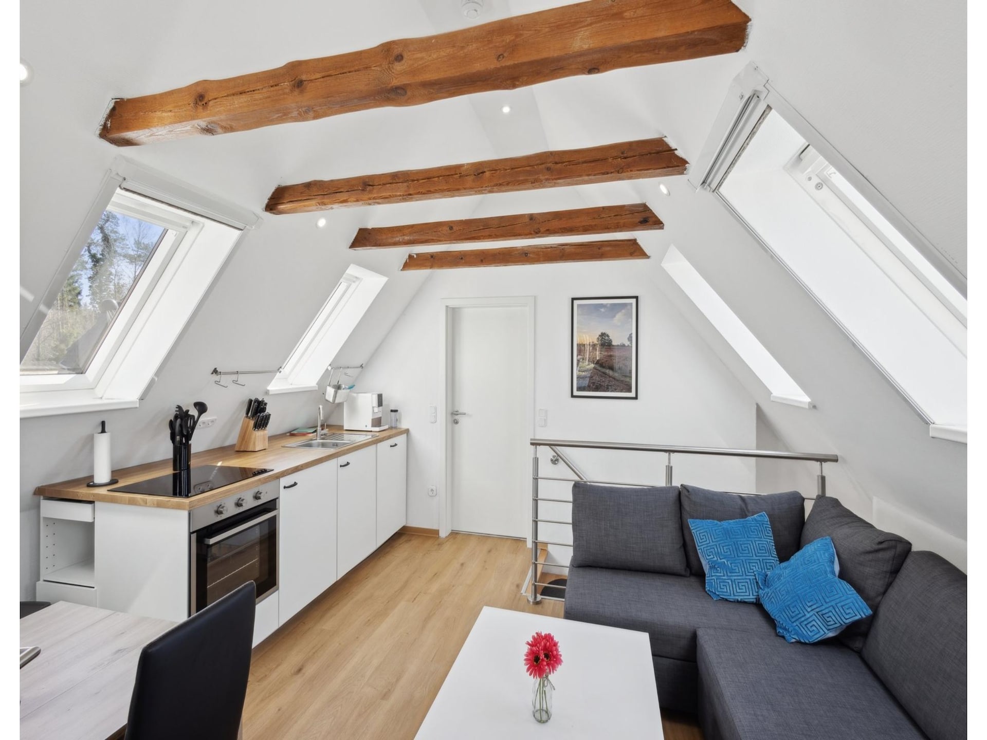 Ruim appartement in Schneverdingen nabij Lüneburger Heide - foto 9