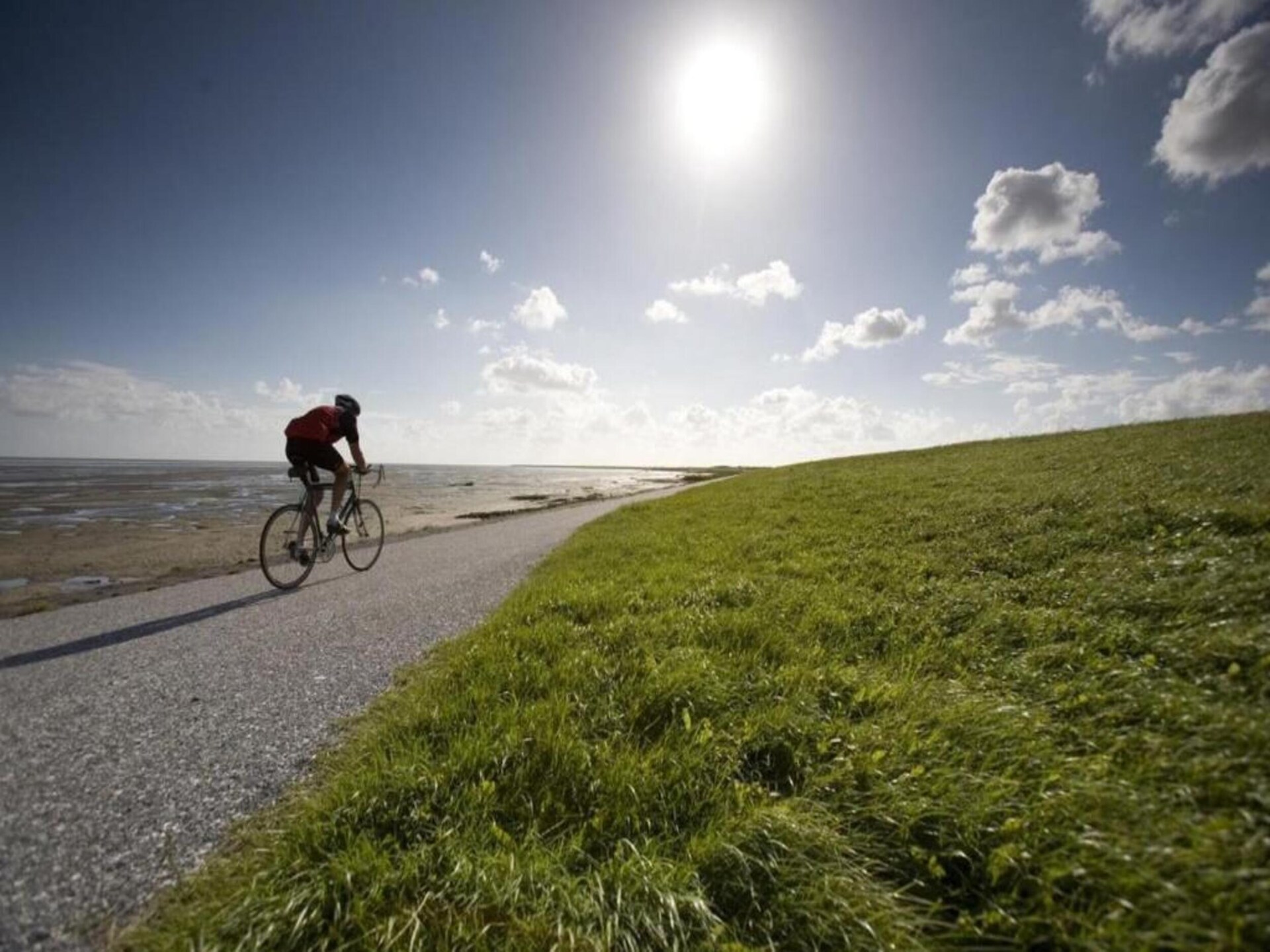 Vrijstaand vakantiehuis in Friese Wadden, 6 pers., tuin, rustig gelegen - foto 26