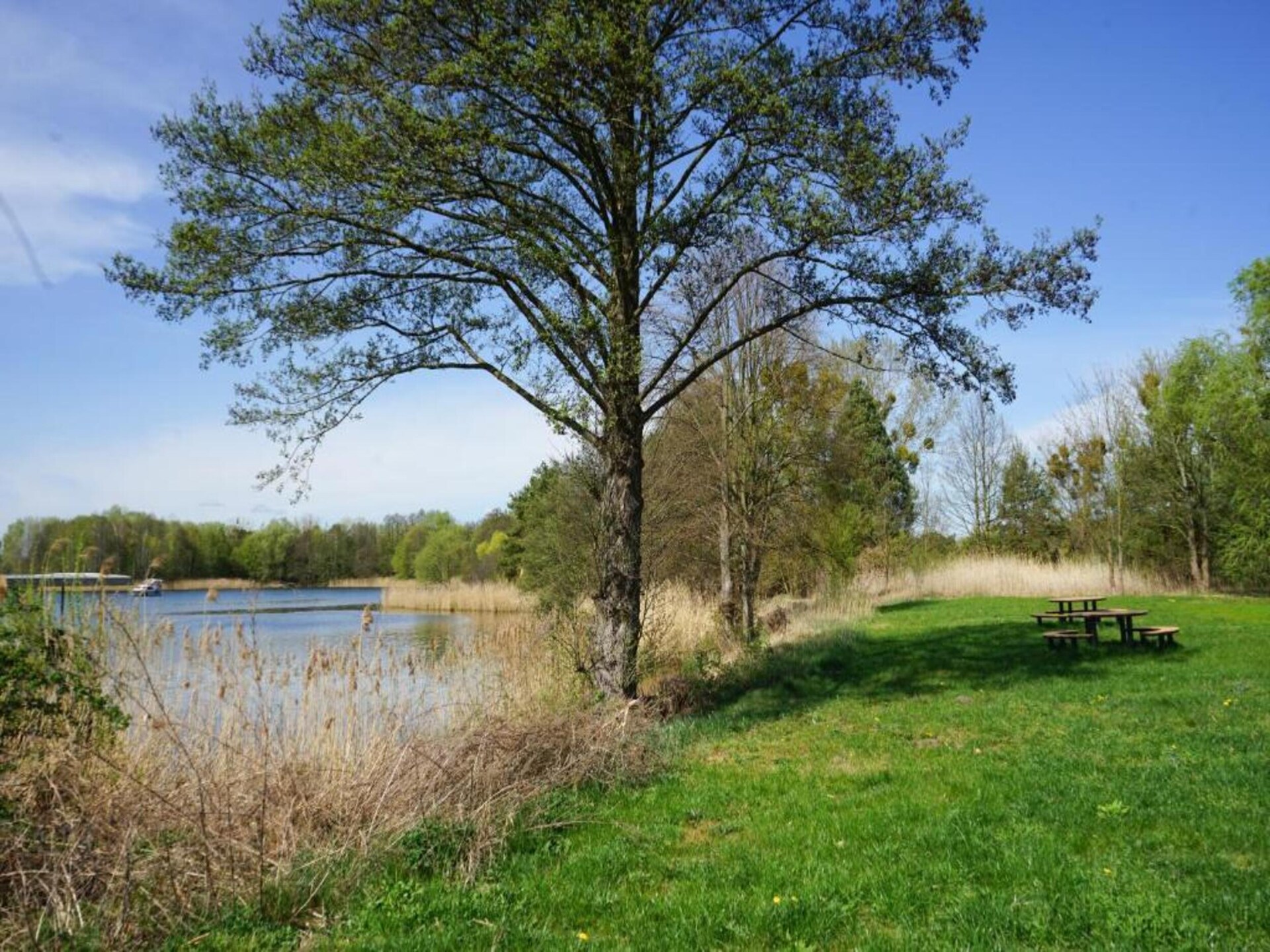 Luxe woonboot aan de Havel bij Zehdenick met uitzicht op het water - foto 34