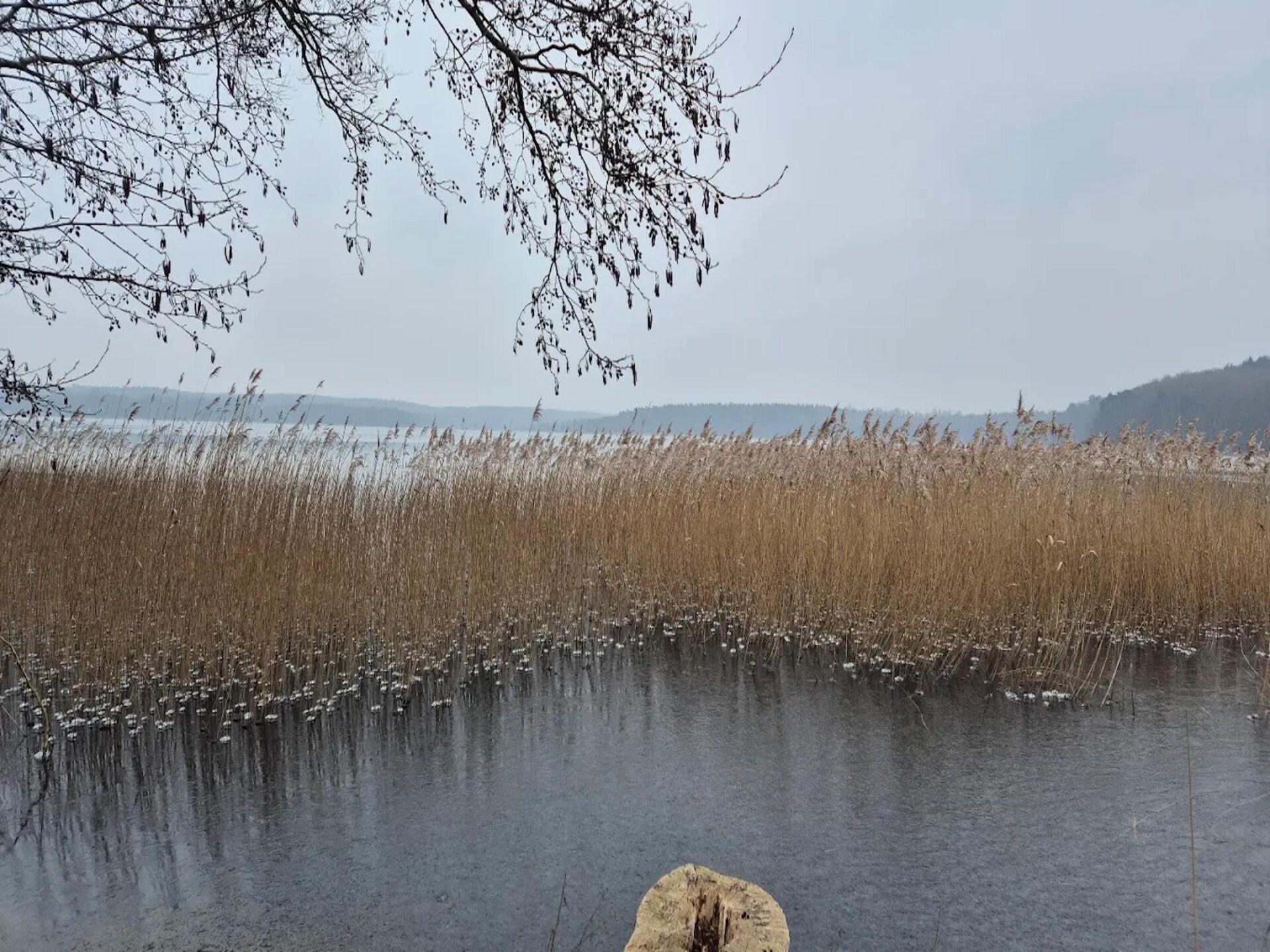 Ruim landhuis bij de Groß Labenzer See – 6 personen, hond welkom - foto 16