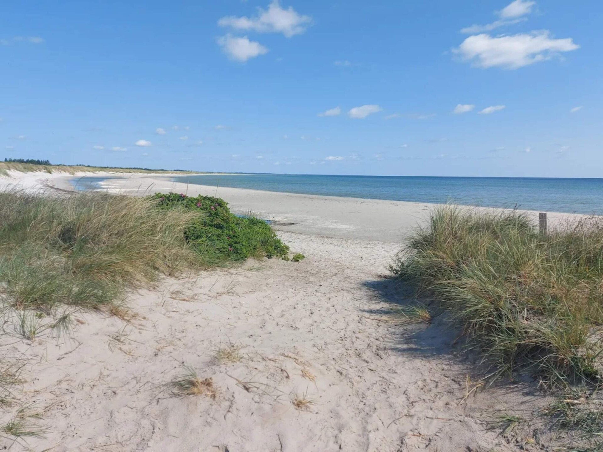 Knus vrijstaand vakantiehuis op 250m van het strand in Marielyst - foto 14
