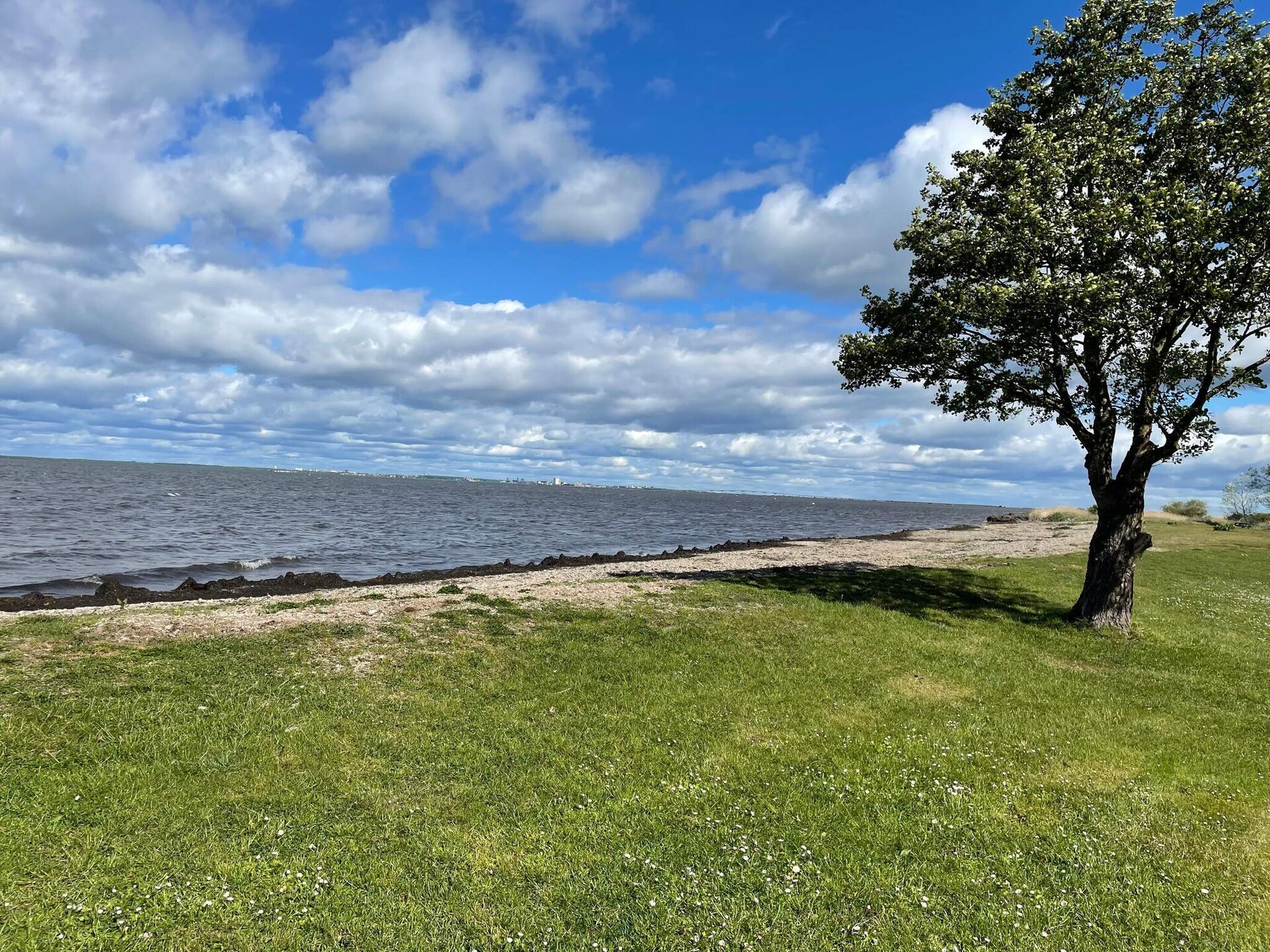 5-persoons vakantiehuis in Mörbylånga op 550 m van de zee - foto 10