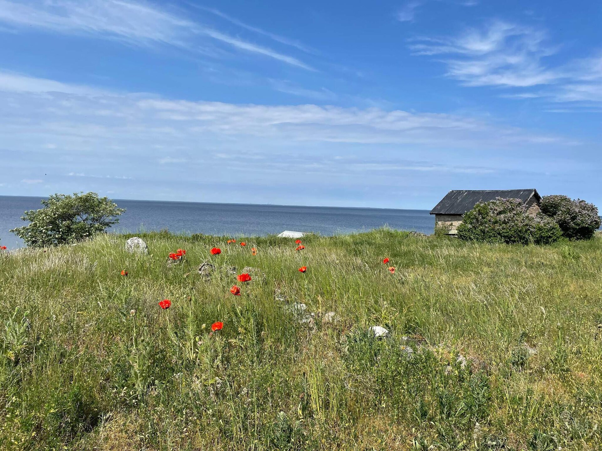 Licht vakantiehuis met zeezicht bij Löttorp, vlakbij strand - foto 13