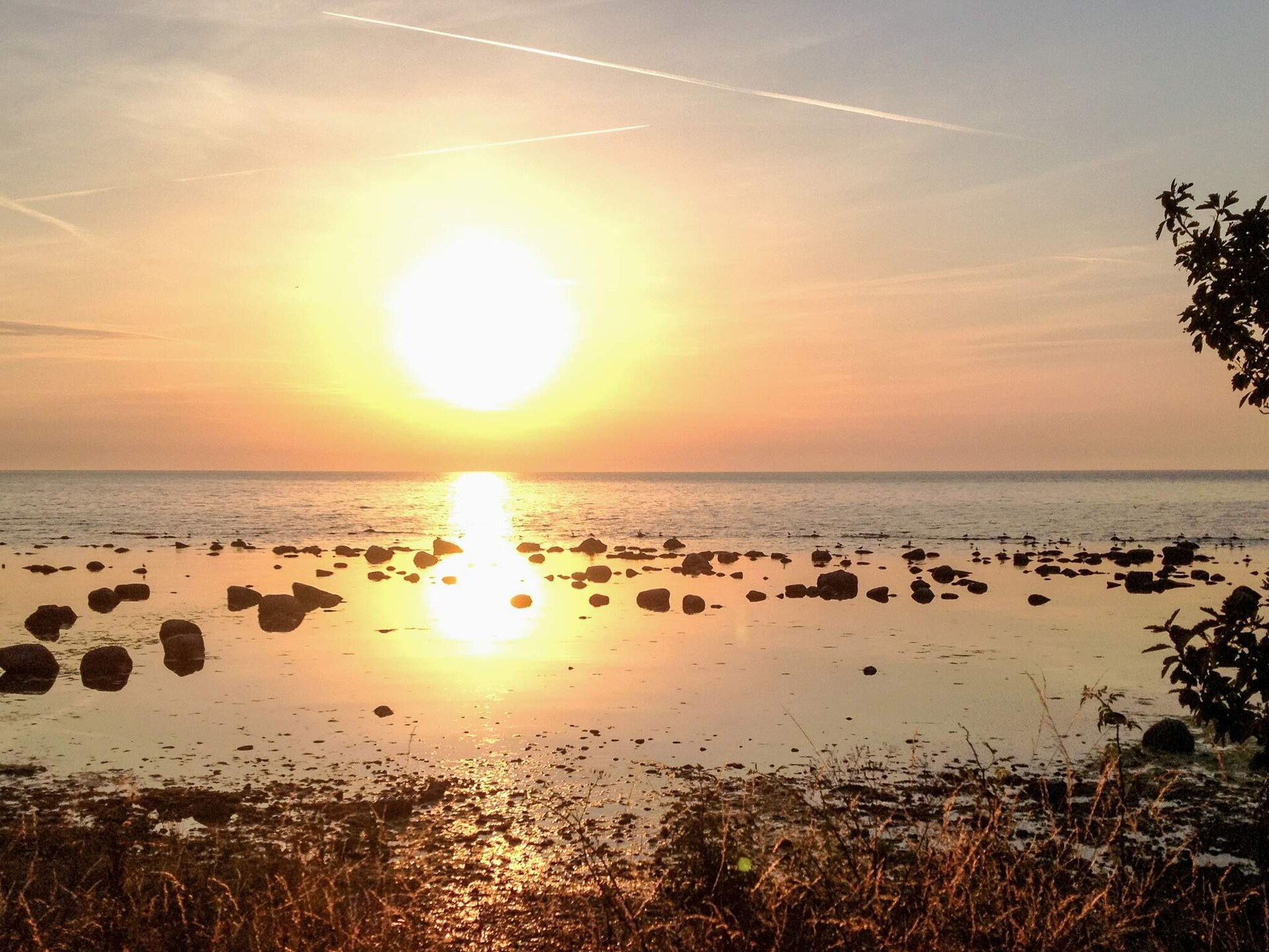 Ruime vakantievilla in Visby centrum met tuin, vlakbij zee en golfbaan - foto 26