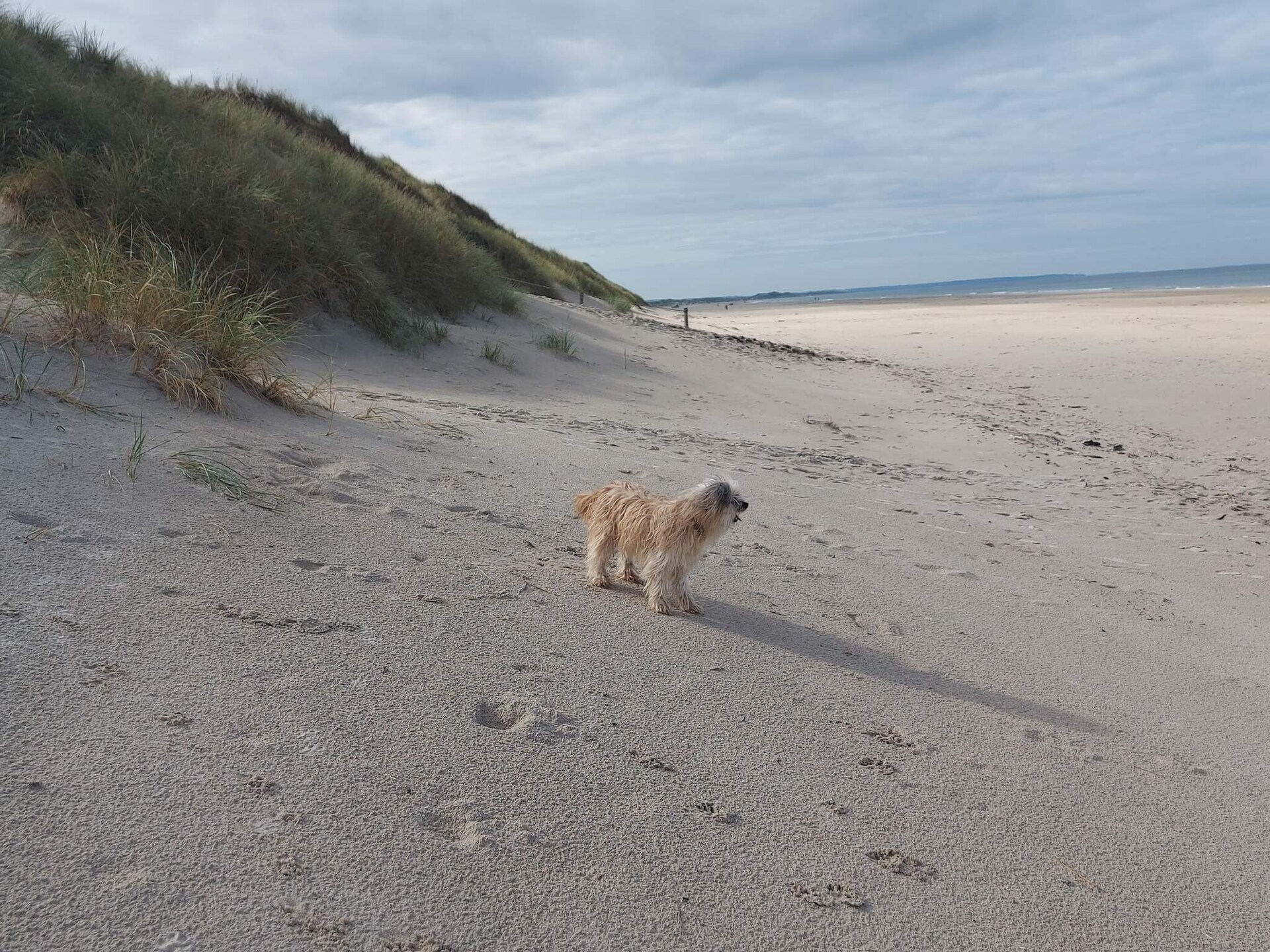 Vrijstaand vakantiehuis aan de golfbaan bij Rødhus Strand voor 6 personen - foto 16