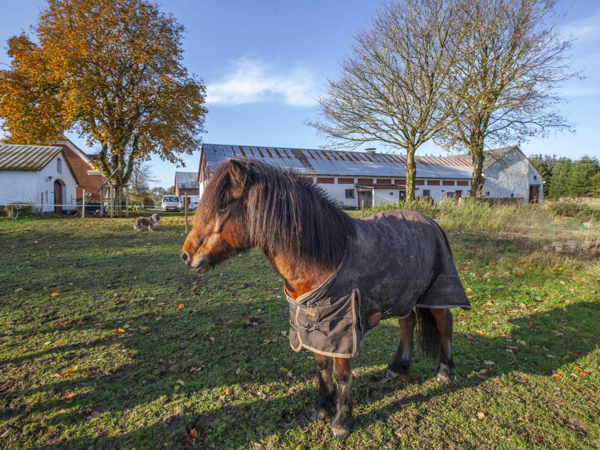 Ruim vakantiehuis voor 8 op het platteland bij Sæby, 7 km van zee - foto 9