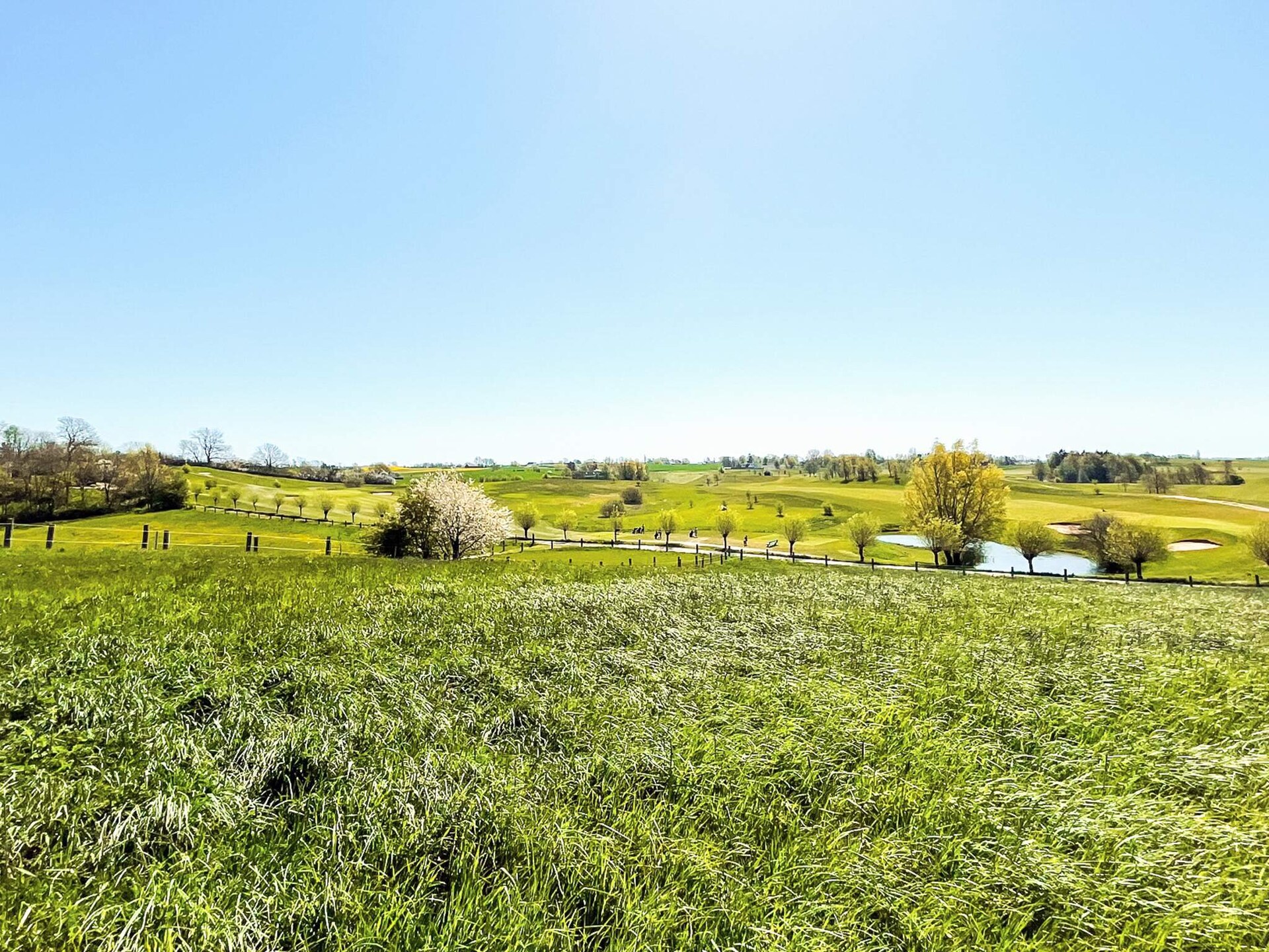 Charmant gastenverblijf op het Zweedse platteland met uitzicht over de velden - foto 6