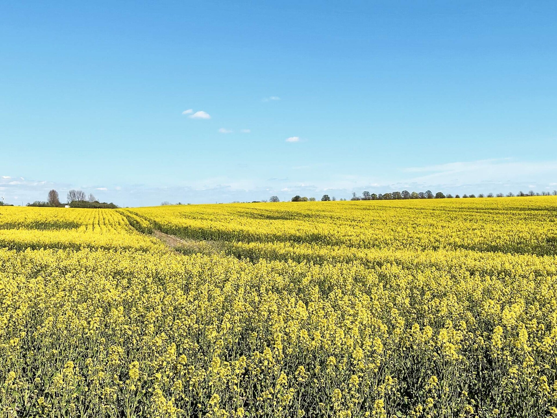 Charmant gastenverblijf op het Zweedse platteland met uitzicht over de velden - foto 9